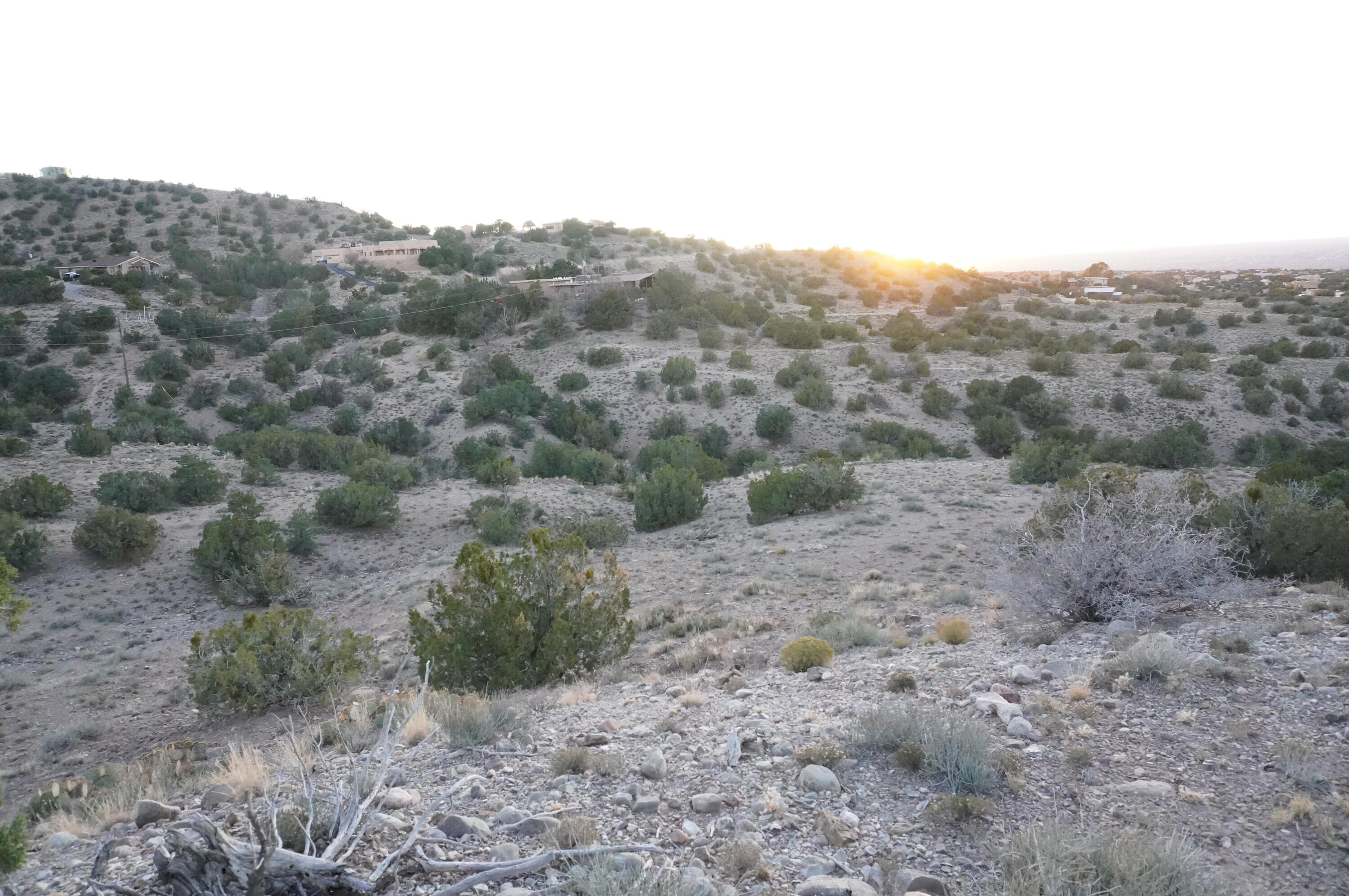 Photo 14 —  Cabezon Road