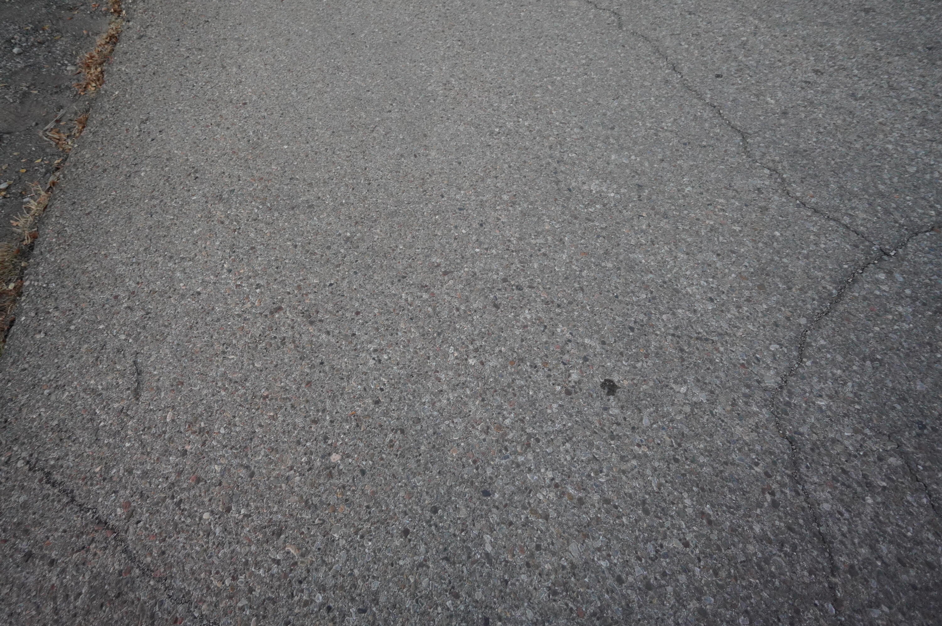 Photo 3 —  Cabezon Road