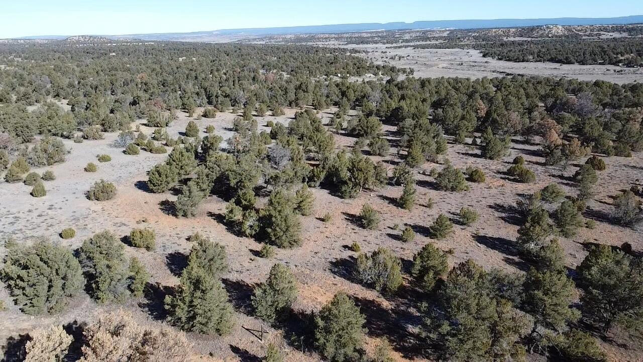 Photo 14 — tbd Arrowhead Road