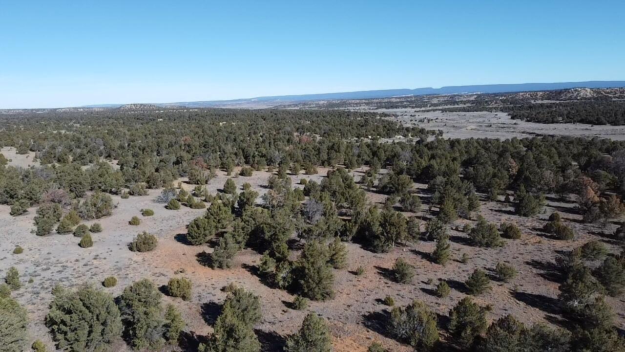 Photo 13 — tbd Arrowhead Road