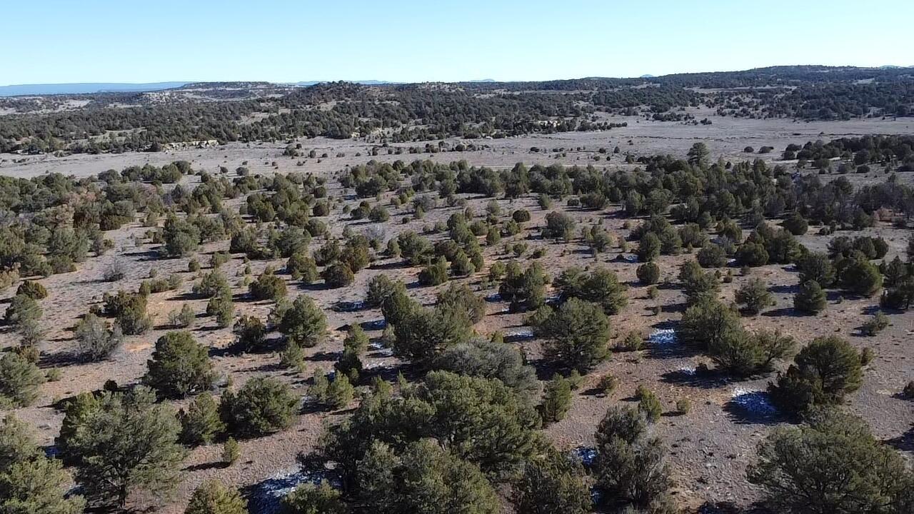 Photo 12 — tbd Arrowhead Road