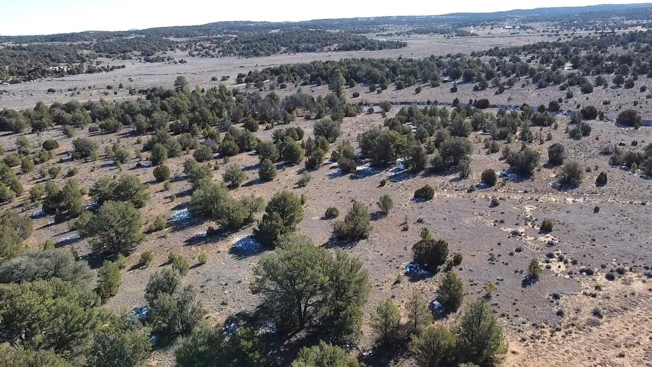 Photo 11 — tbd Arrowhead Road