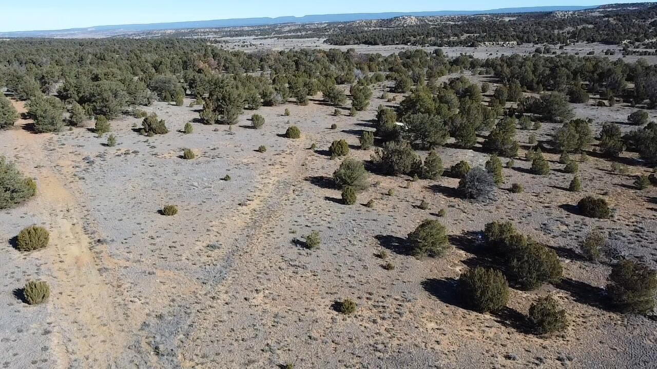 Photo 9 — tbd Arrowhead Road