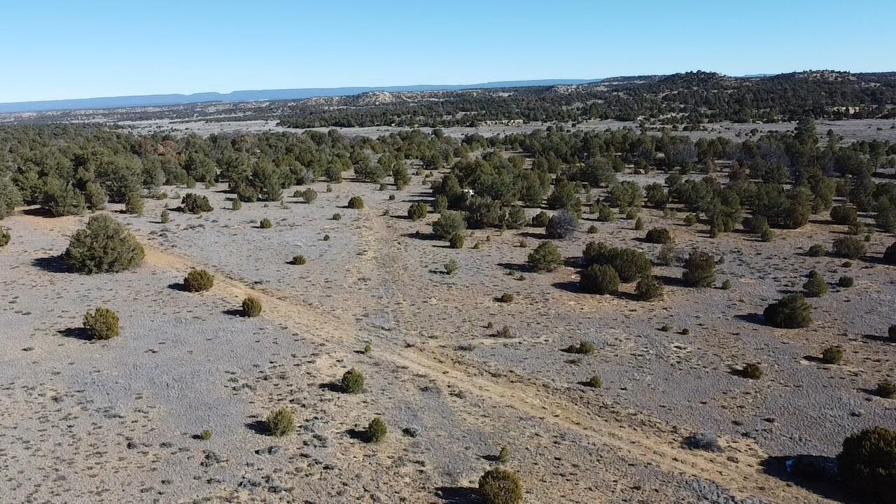 Photo 8 — tbd Arrowhead Road
