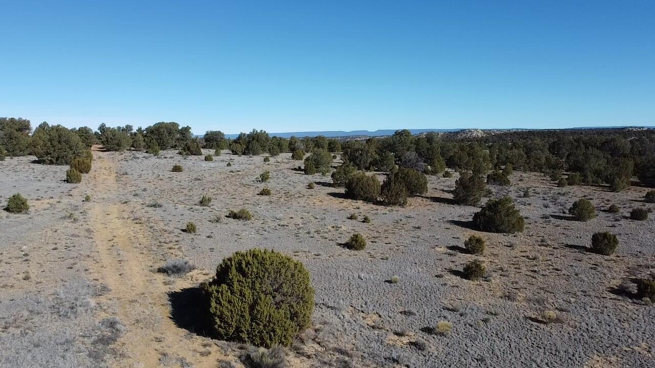 Photo 7 — tbd Arrowhead Road