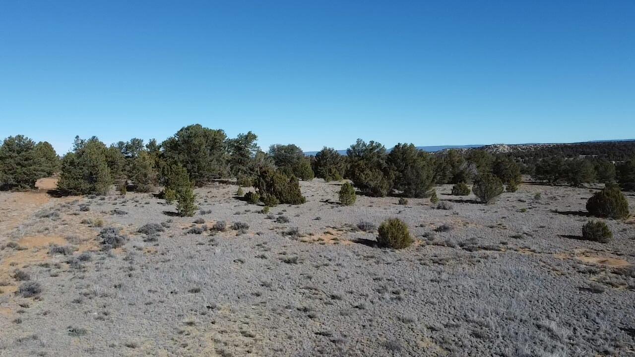 Photo 6 — tbd Arrowhead Road
