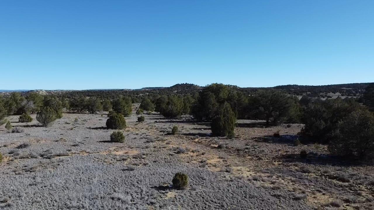 Photo 5 — tbd Arrowhead Road