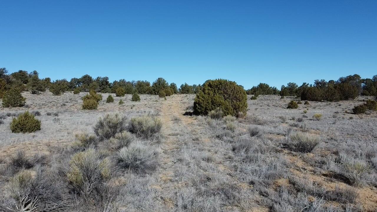 Photo 4 — tbd Arrowhead Road