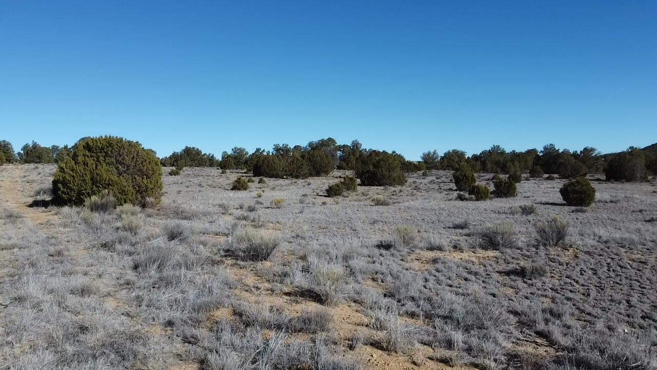 Photo 3 — tbd Arrowhead Road