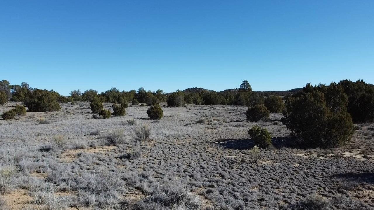 Photo 2 — tbd Arrowhead Road