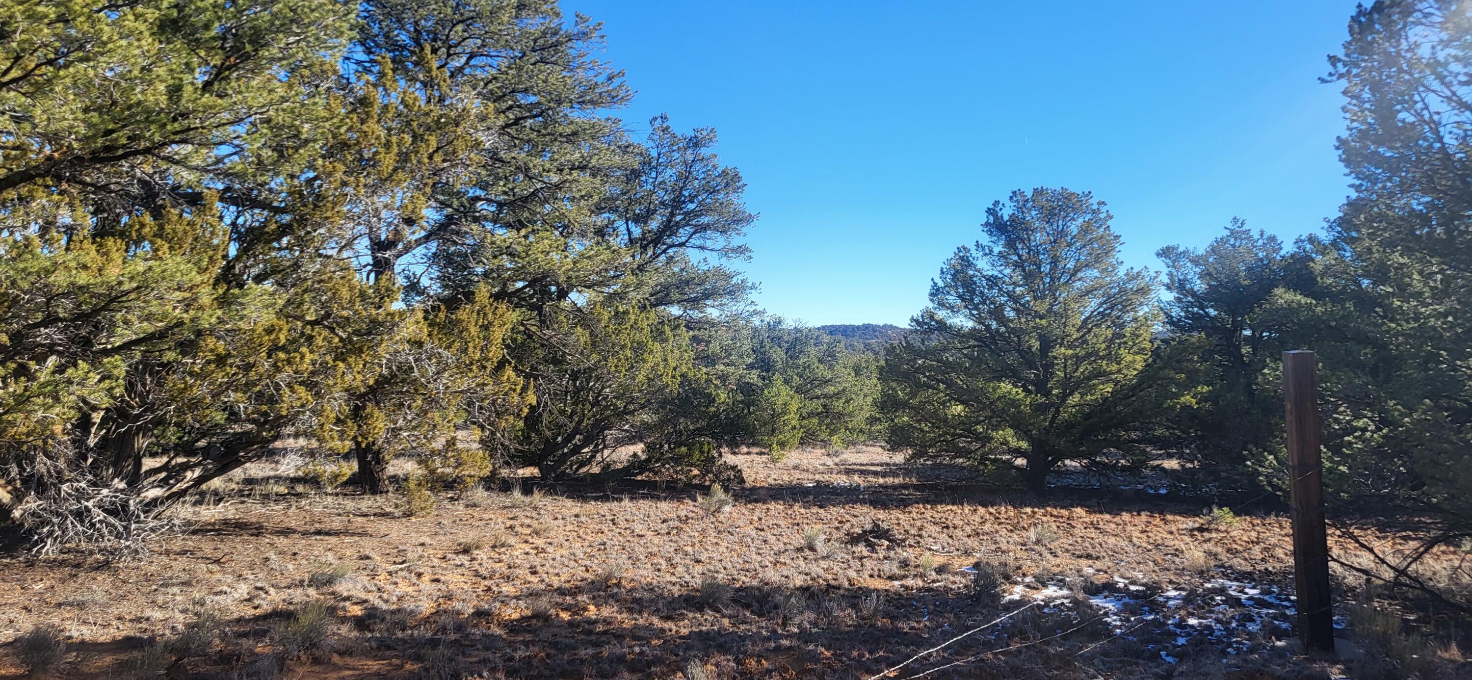 Photo 20 — tbd Arrowhead Road