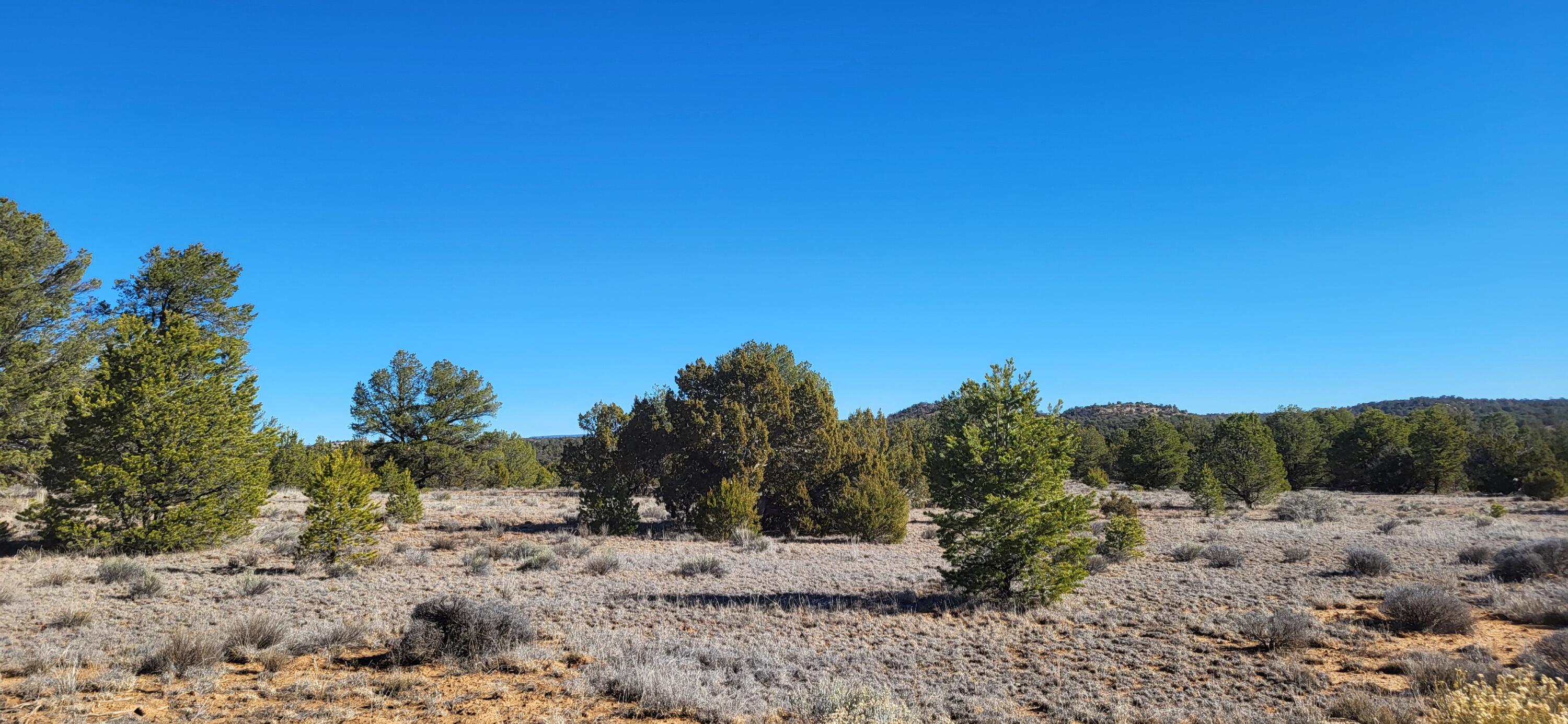 Photo 19 — tbd Arrowhead Road