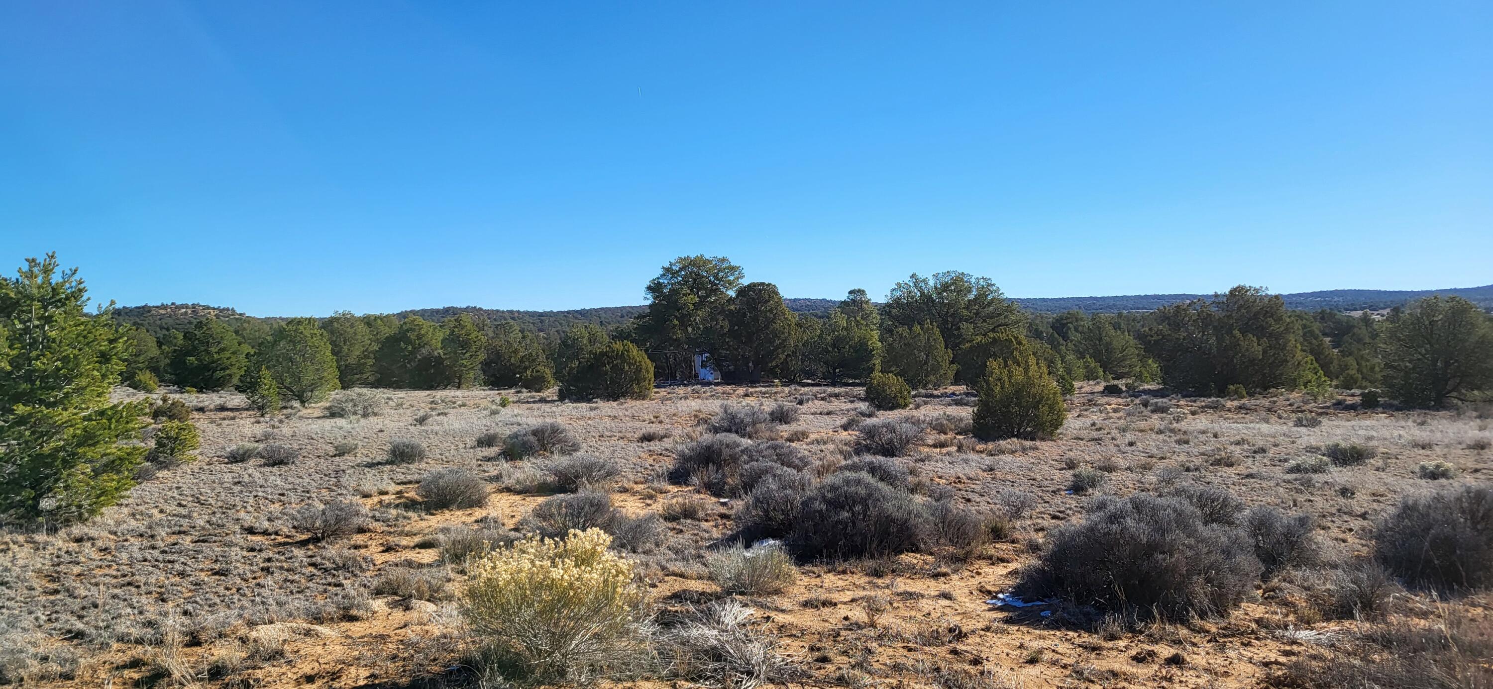 Photo 18 — tbd Arrowhead Road