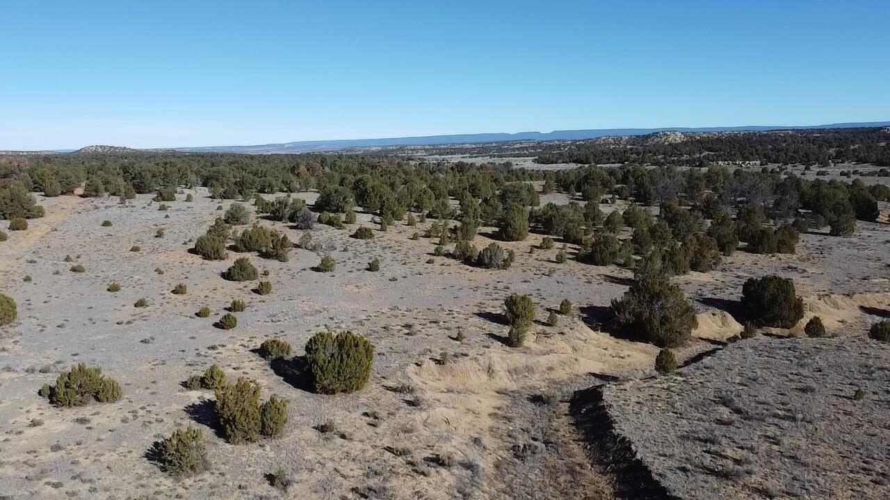 Photo 17 — tbd Arrowhead Road