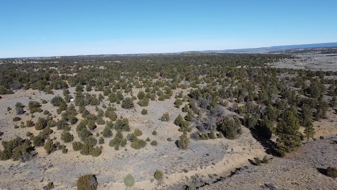 Photo 16 — tbd Arrowhead Road