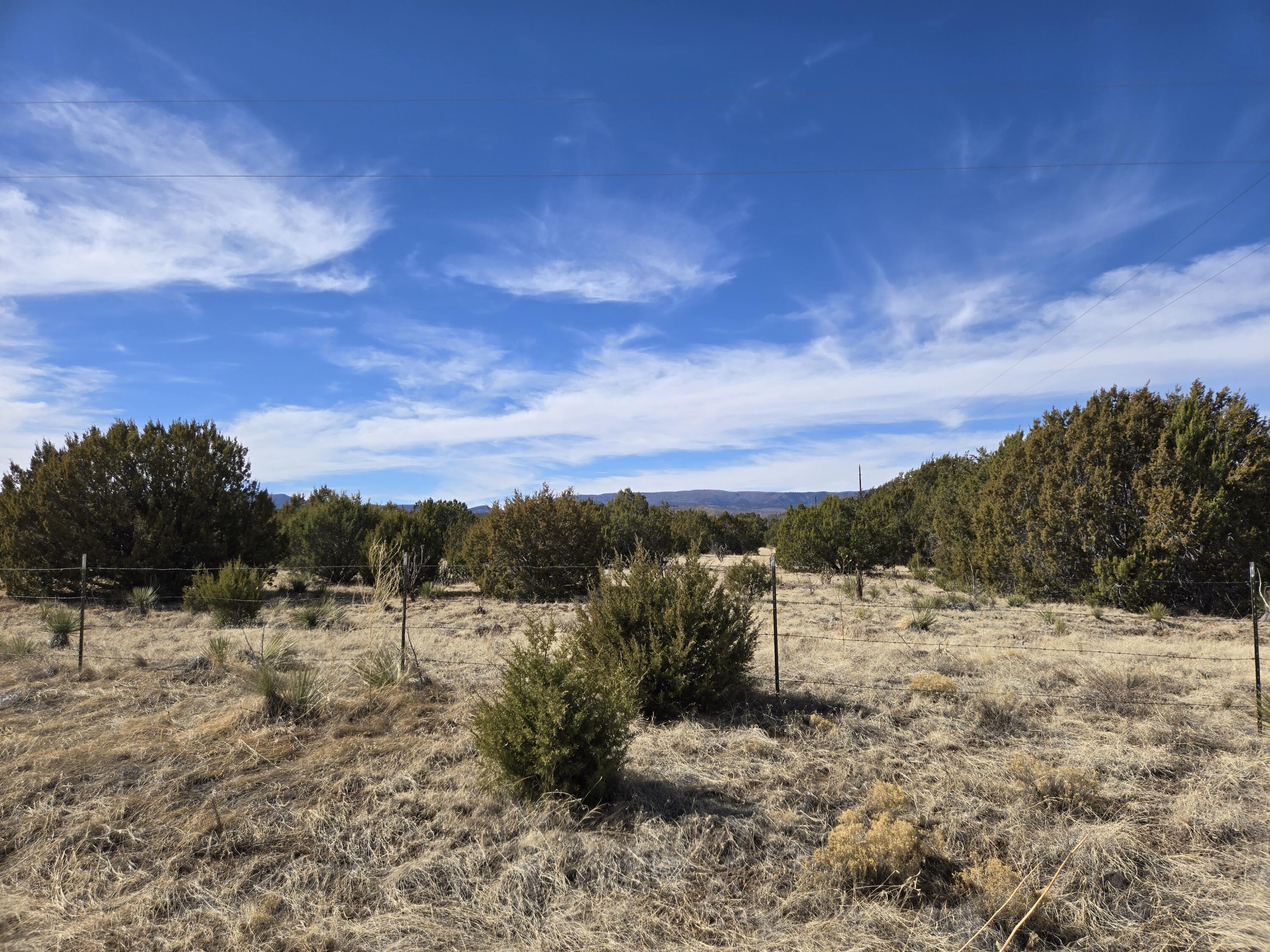 0 Rosewood Drive 12, Tajique, NM 87016