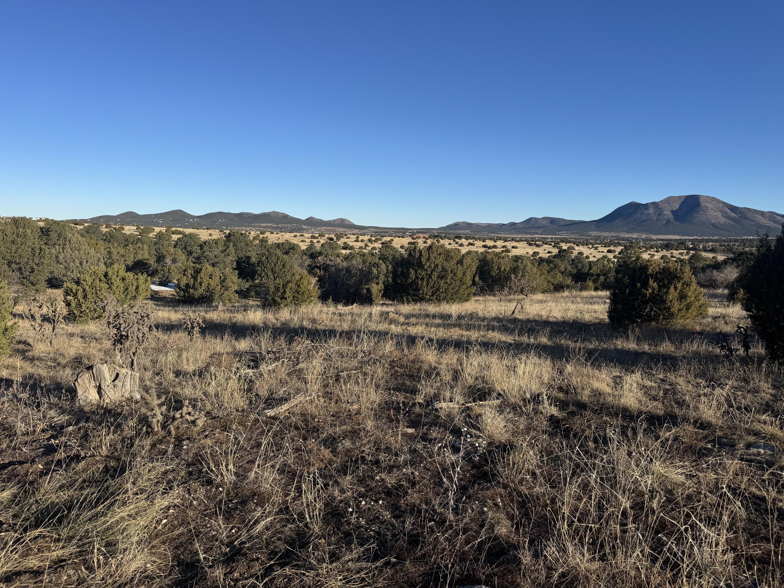 Photo 4 — 19 Bolivar Loop