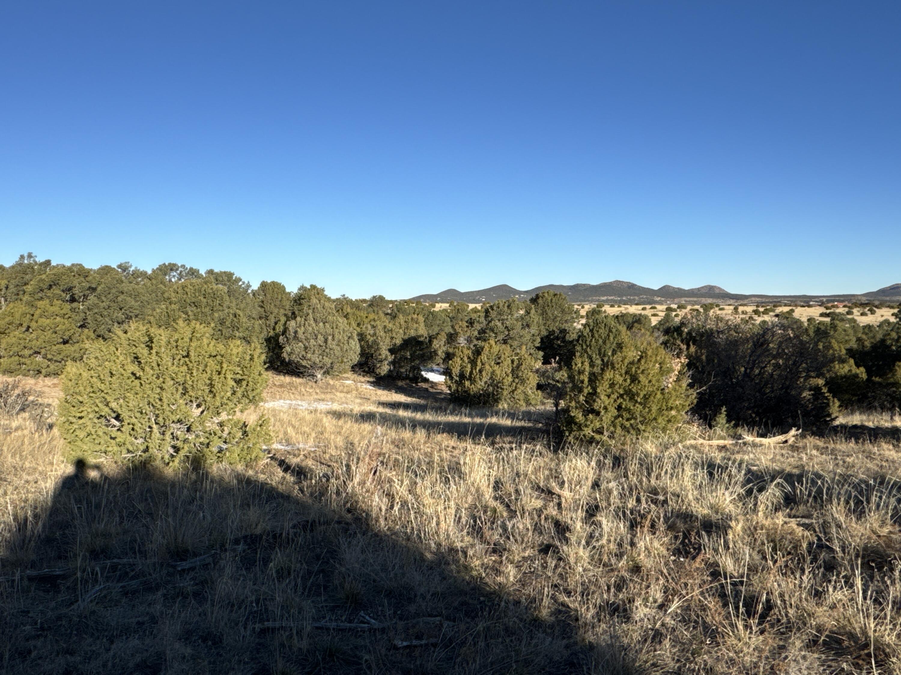 Photo 5 — 19 Bolivar Loop