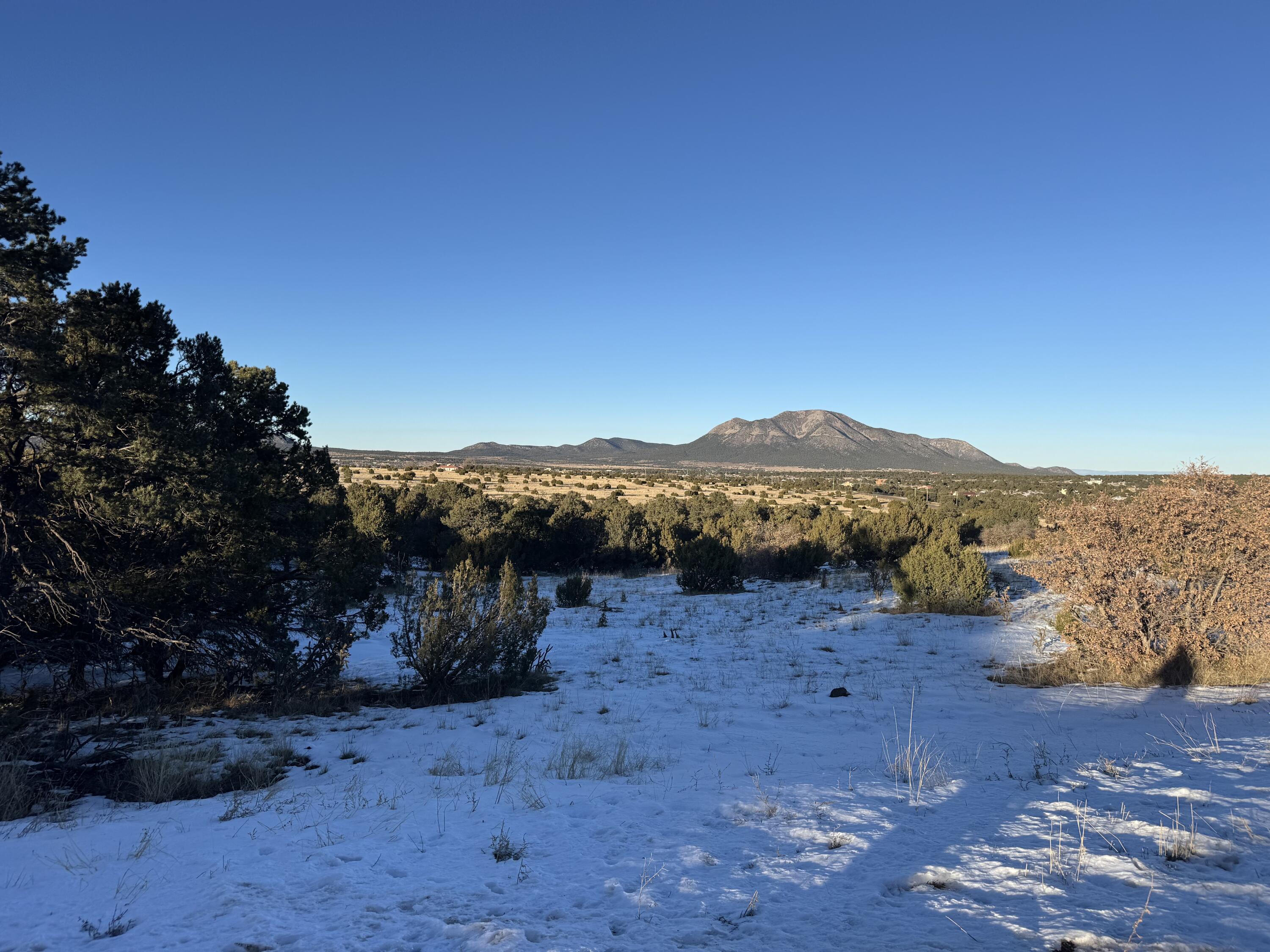 Photo 10 — 19 Bolivar Loop