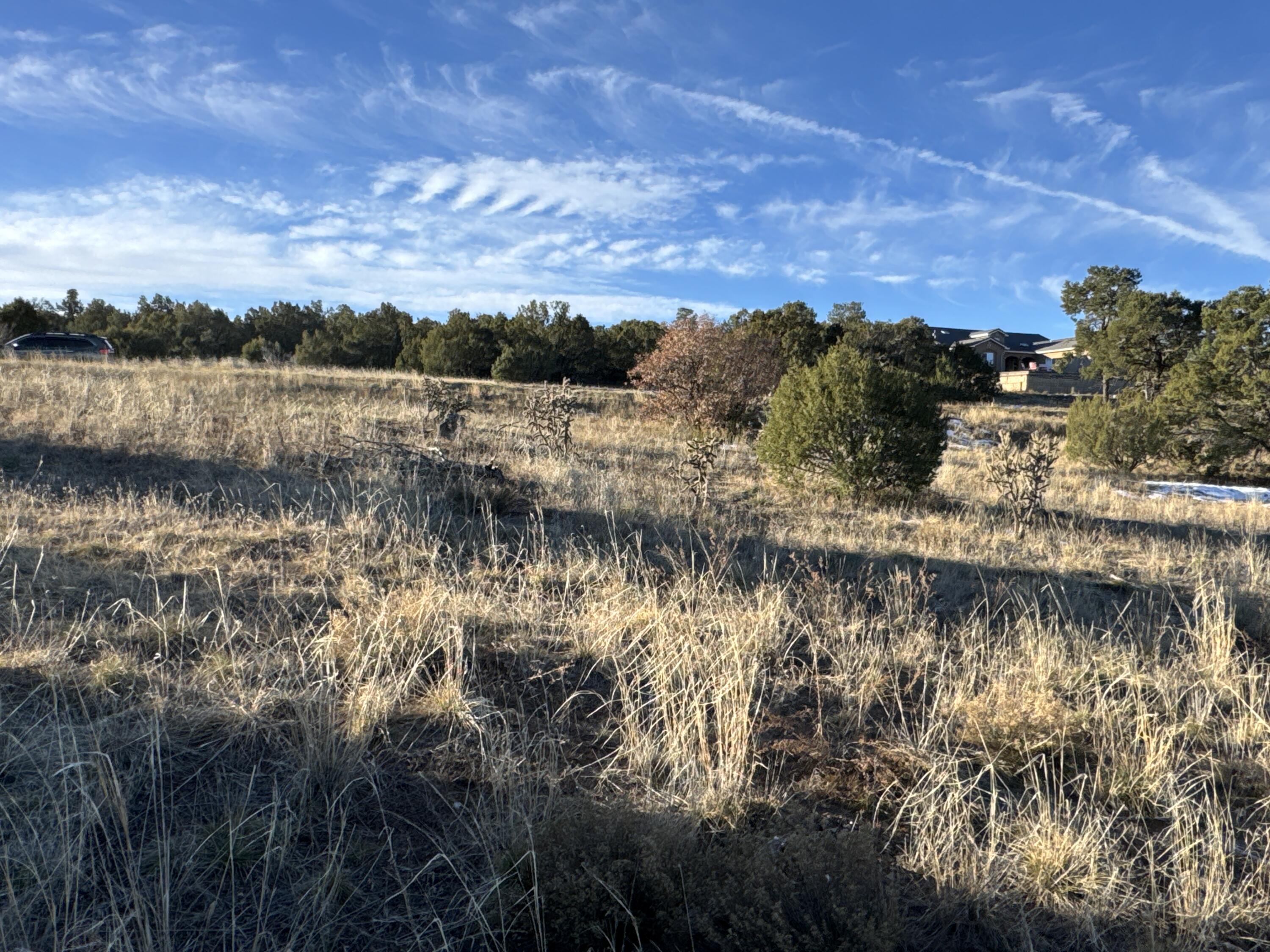 Photo 11 — 19 Bolivar Loop