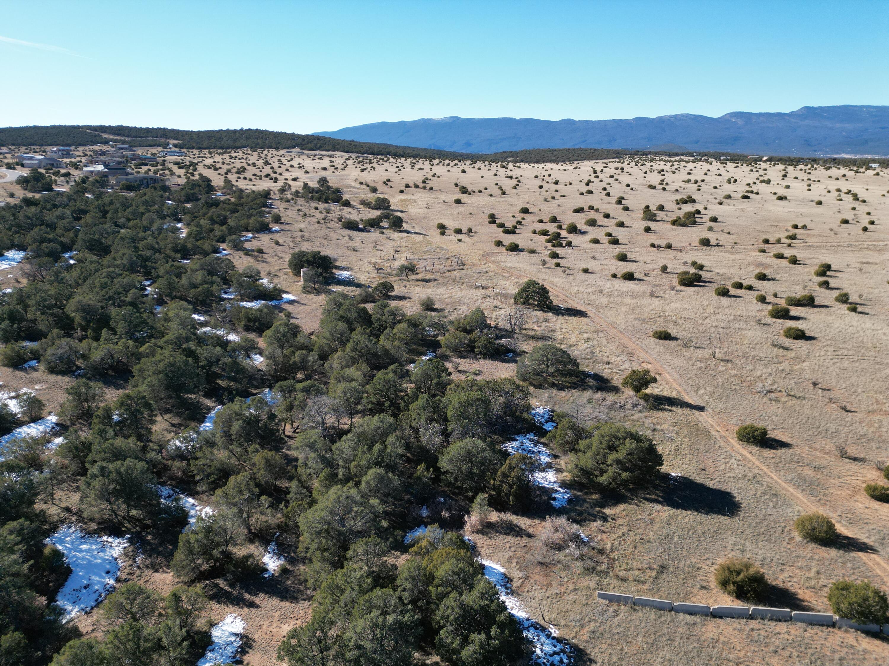 Photo 3 — 19 Bolivar Loop