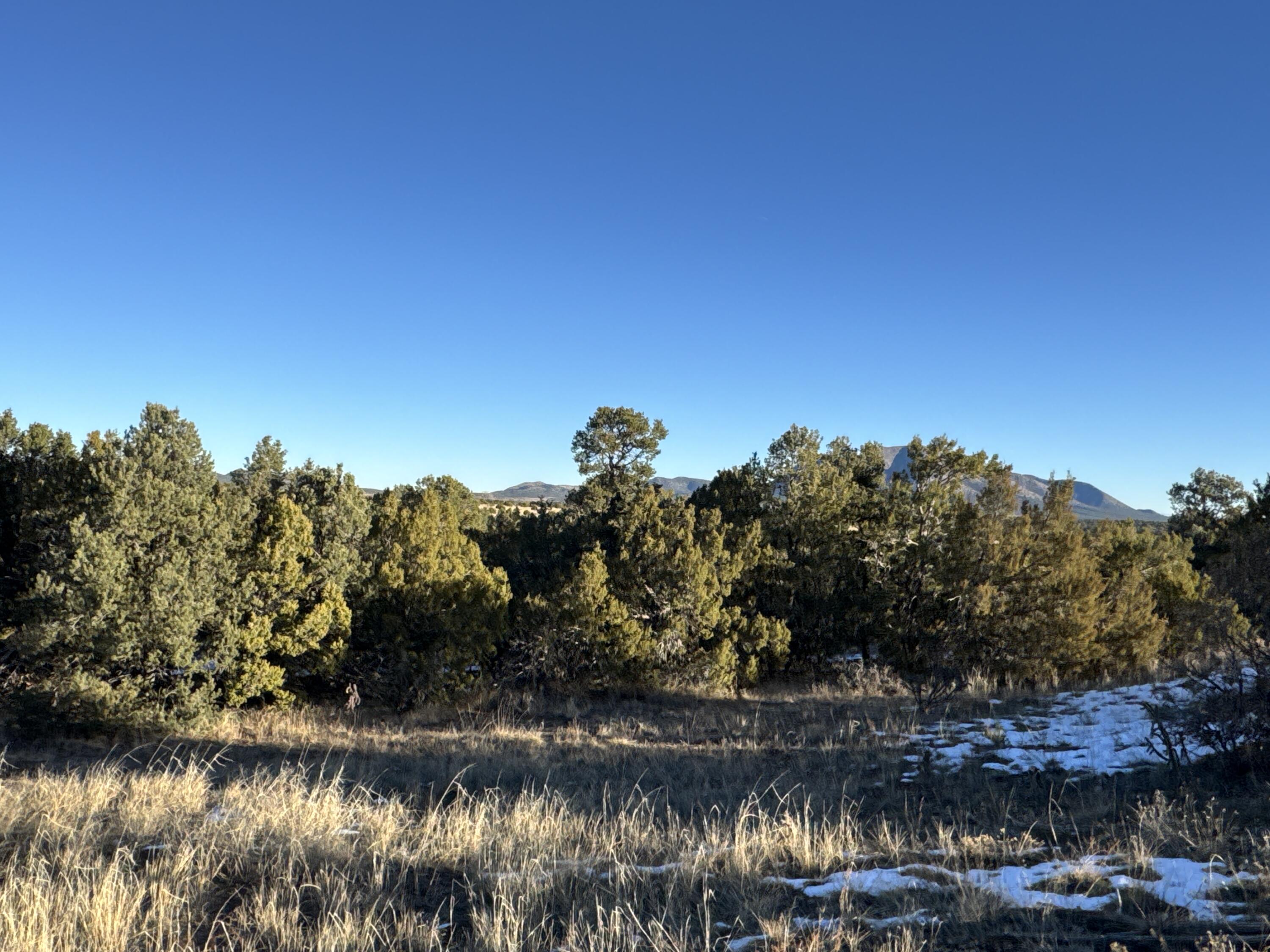 Photo 19 — 19 Bolivar Loop