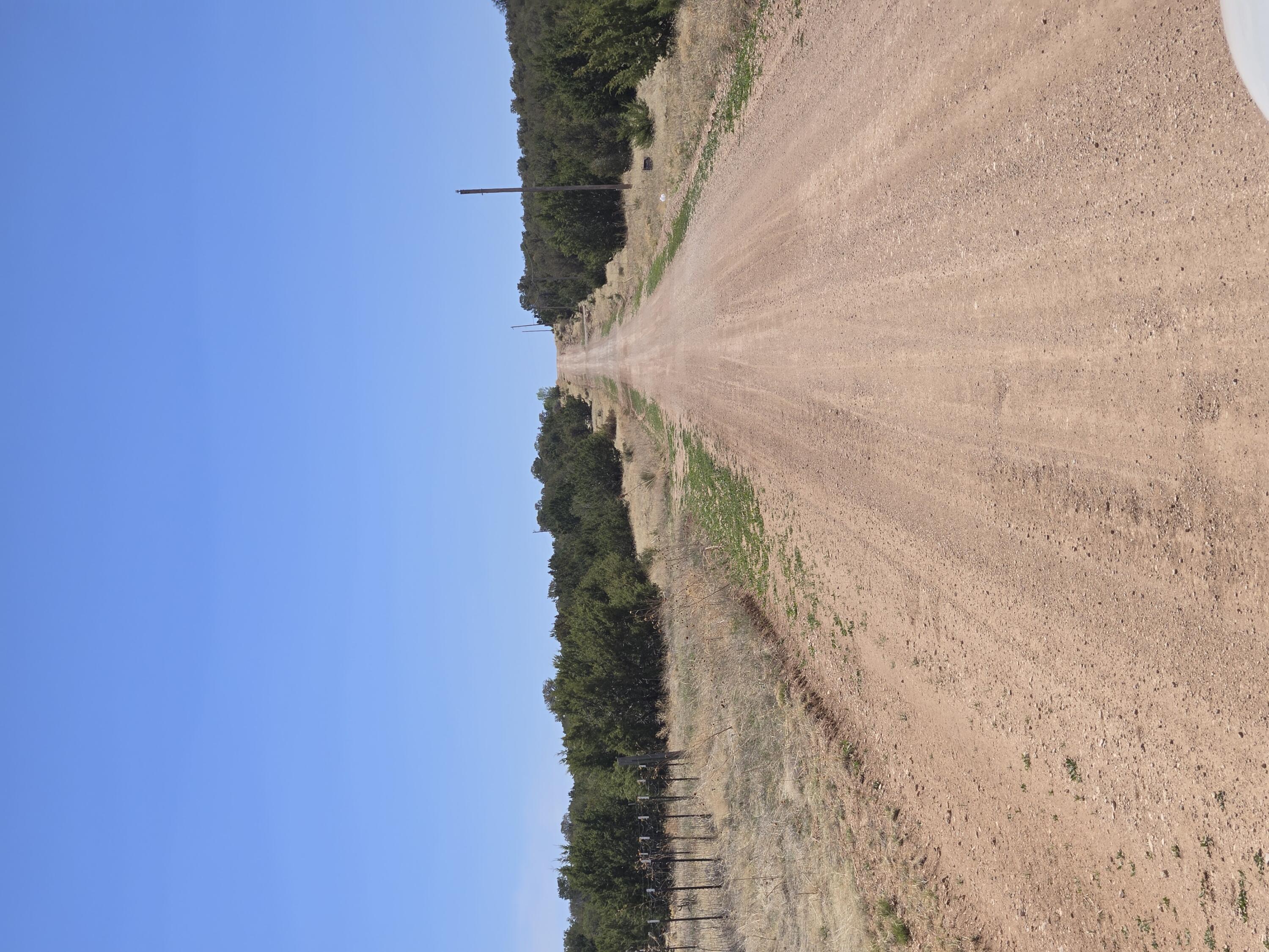 Photo 2 — 0 Rosewood Road 11