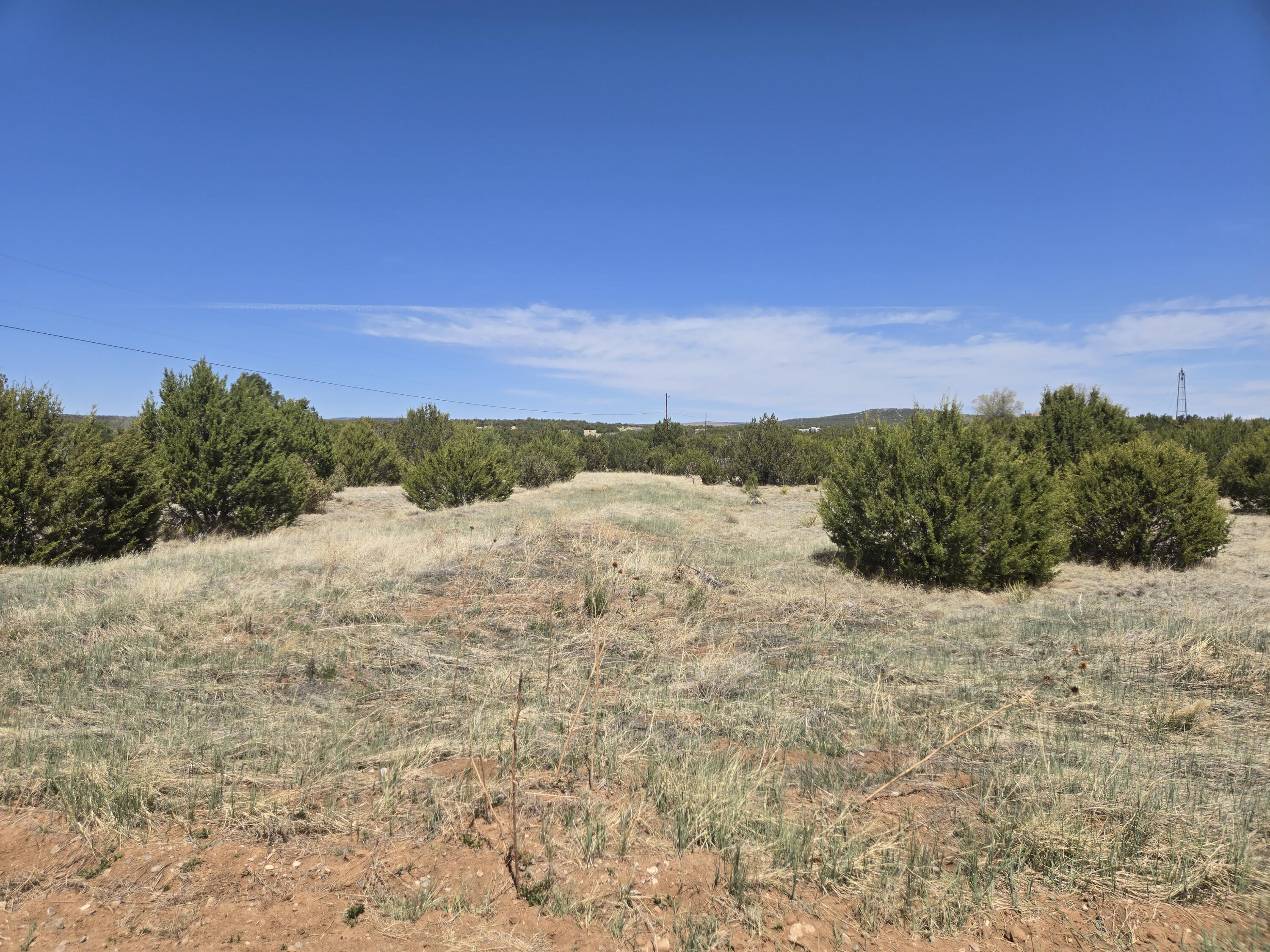 Photo 6 — 0 Rosewood Road 11