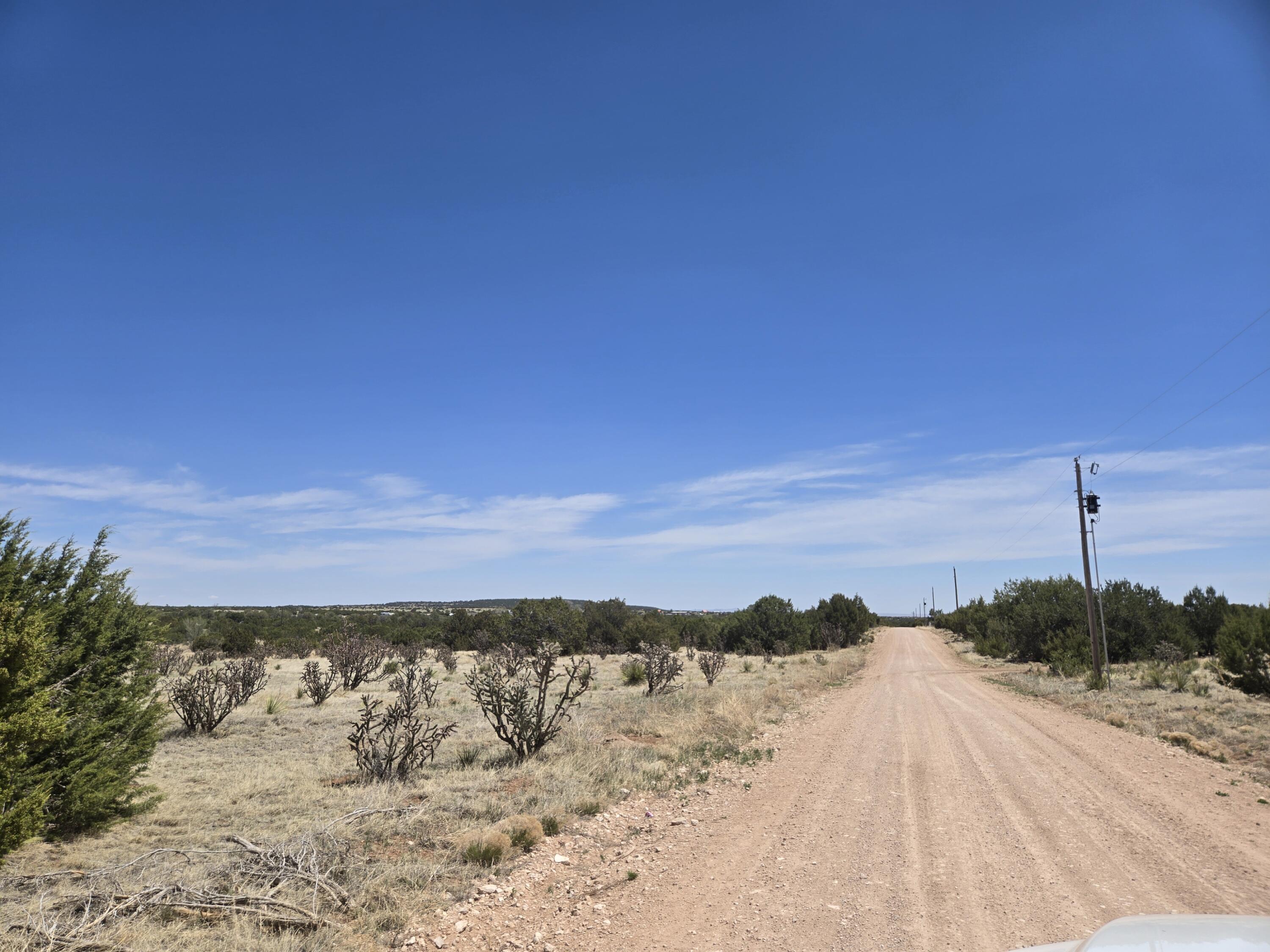 Photo 4 — 0 County Rd A102 10