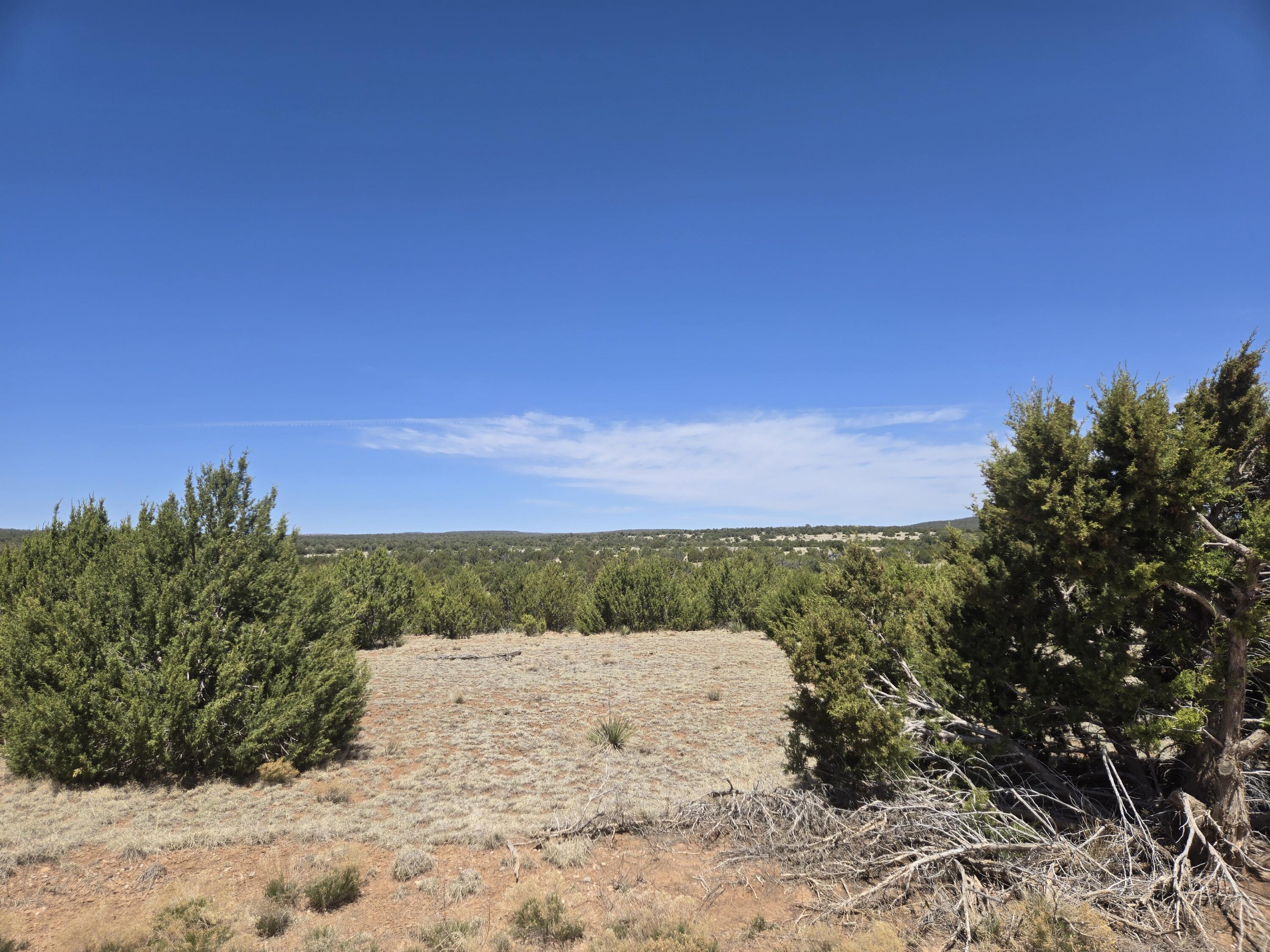 Photo 5 — 0 County Rd A102 10