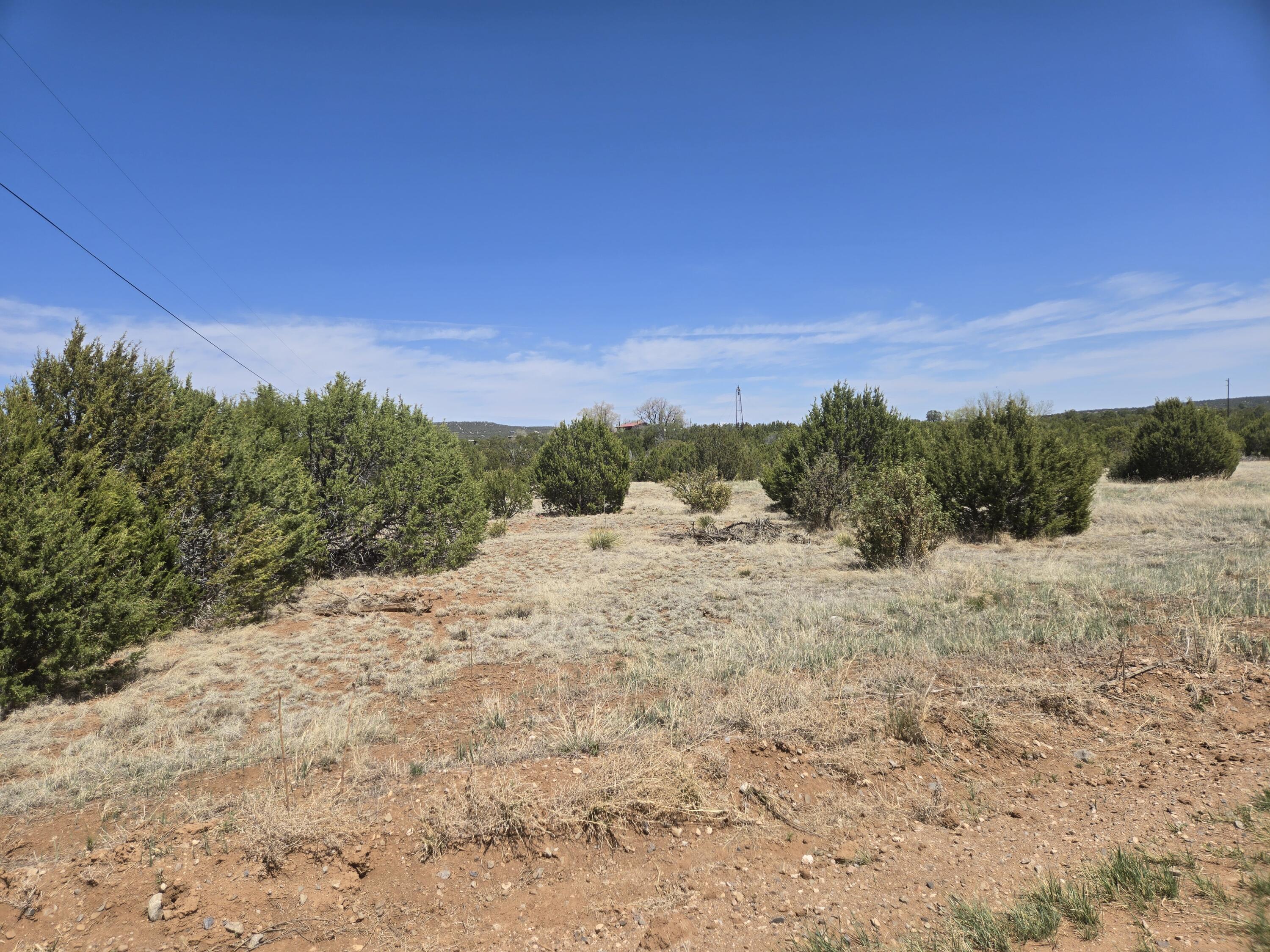 Photo 6 — 0 County Rd A102 10