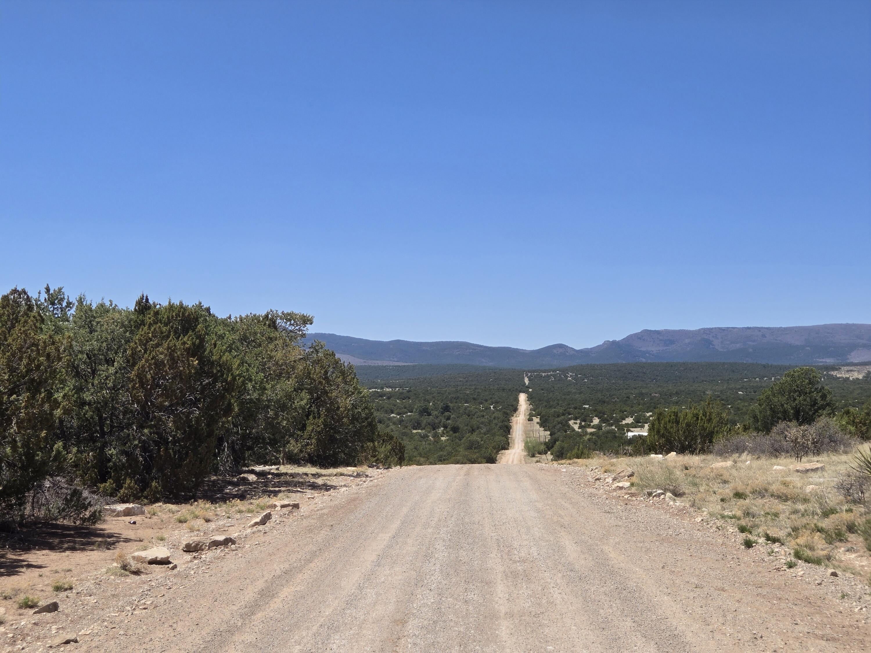 Photo 7 — 0 County Rd A102 10