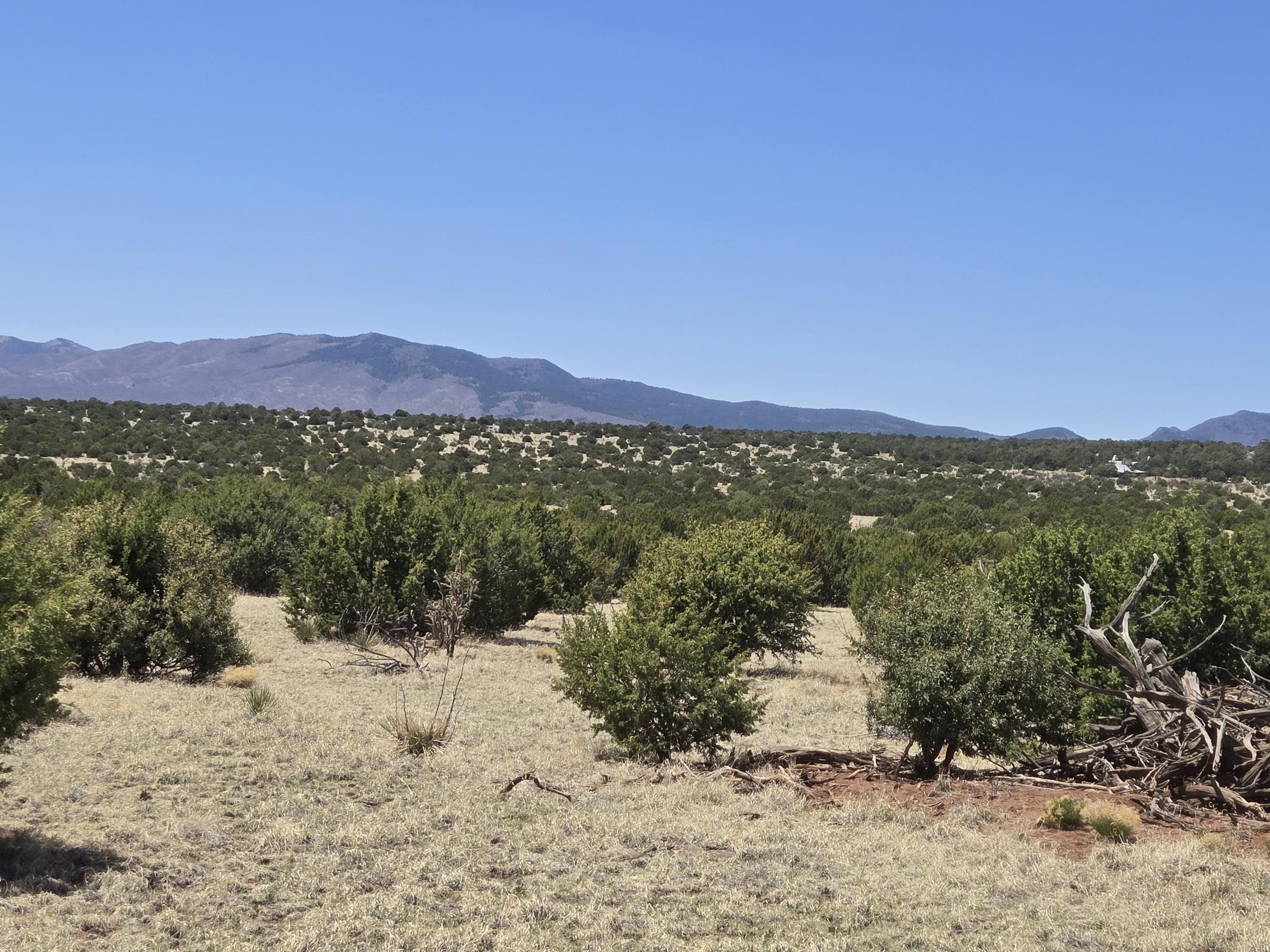 Photo 4 — 0 County Rd A102 14