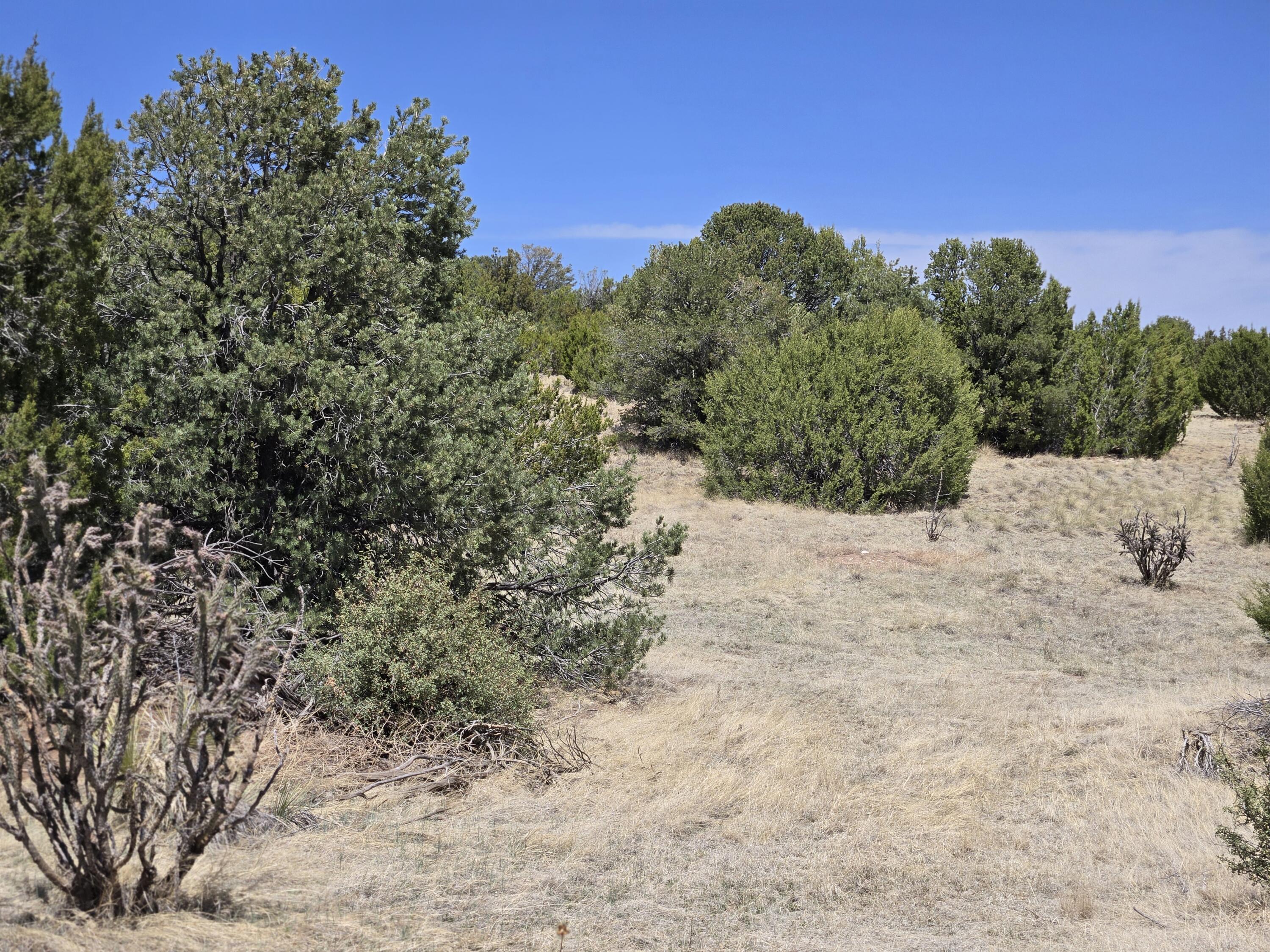 Photo 4 — 0 County Rd A102 9