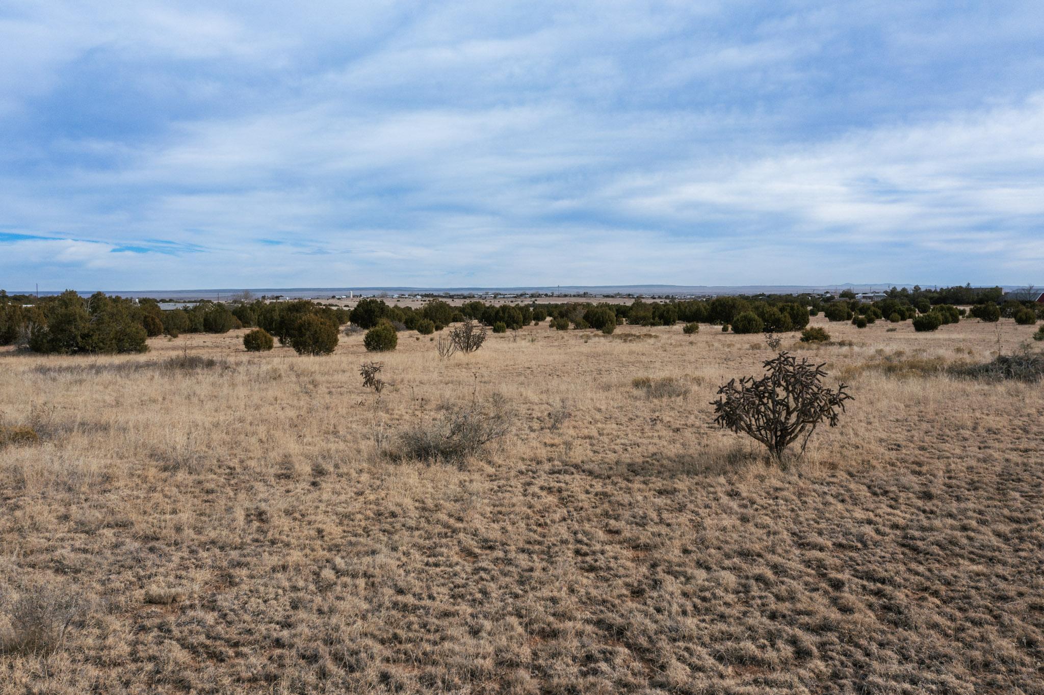Photo 9 —  Skyline Acres Lots I & J