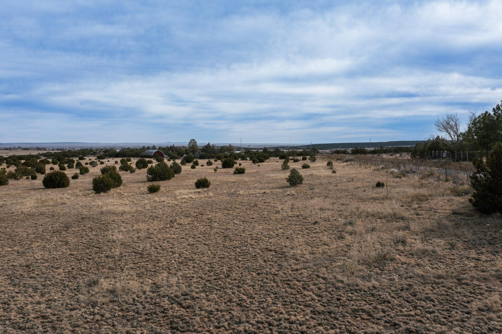 Photo 8 —  Skyline Acres Lots I & J