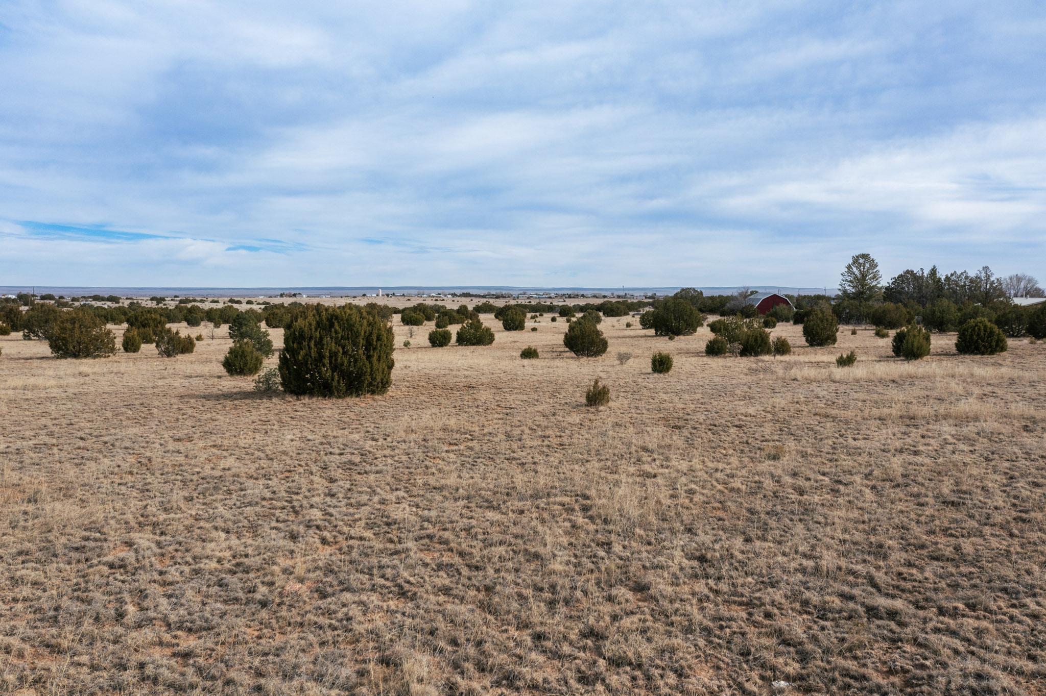 Photo 5 —  Skyline Acres Lots I & J