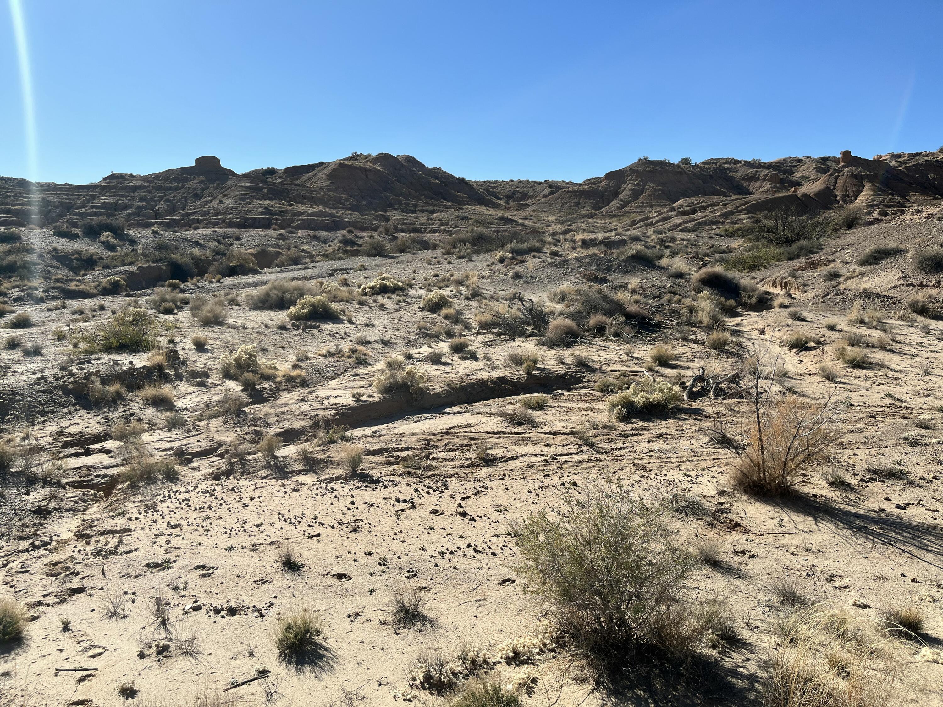 Photo 8 — Lot: 5B Erica Lane