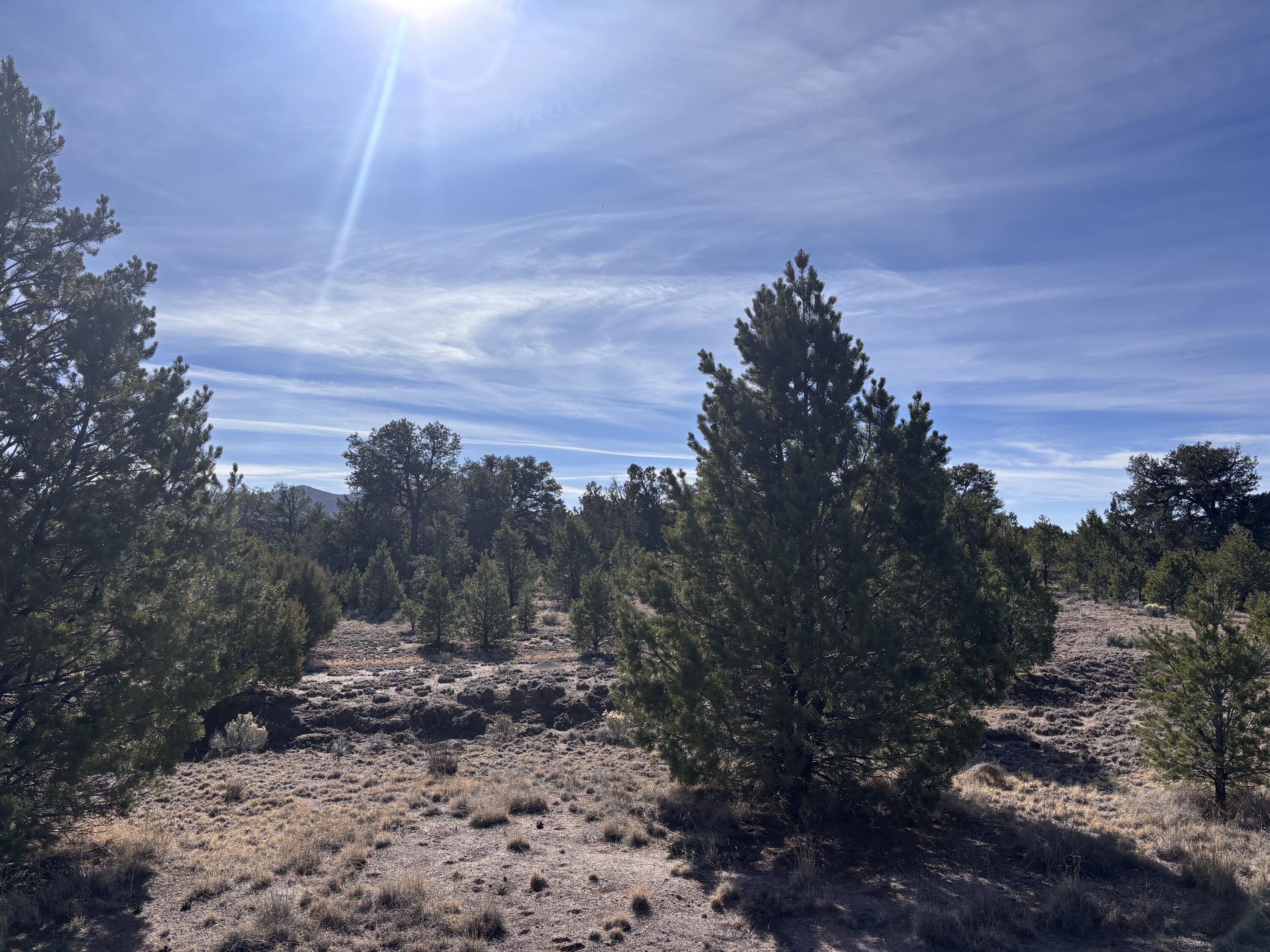 Photo 3 —  Lot 17 Horse Peek Ranches