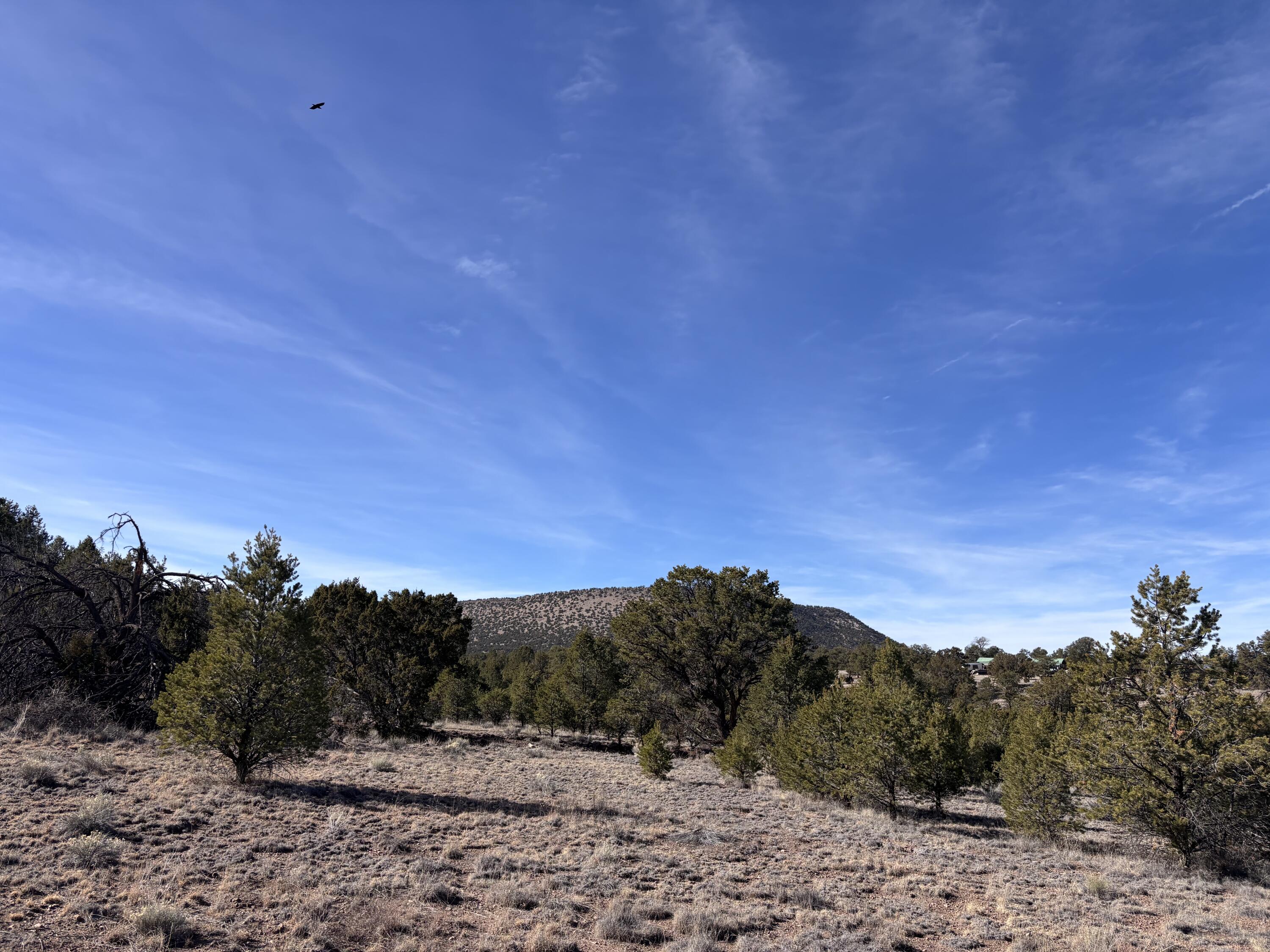 Photo 4 —  Lot 17 Horse Peek Ranches