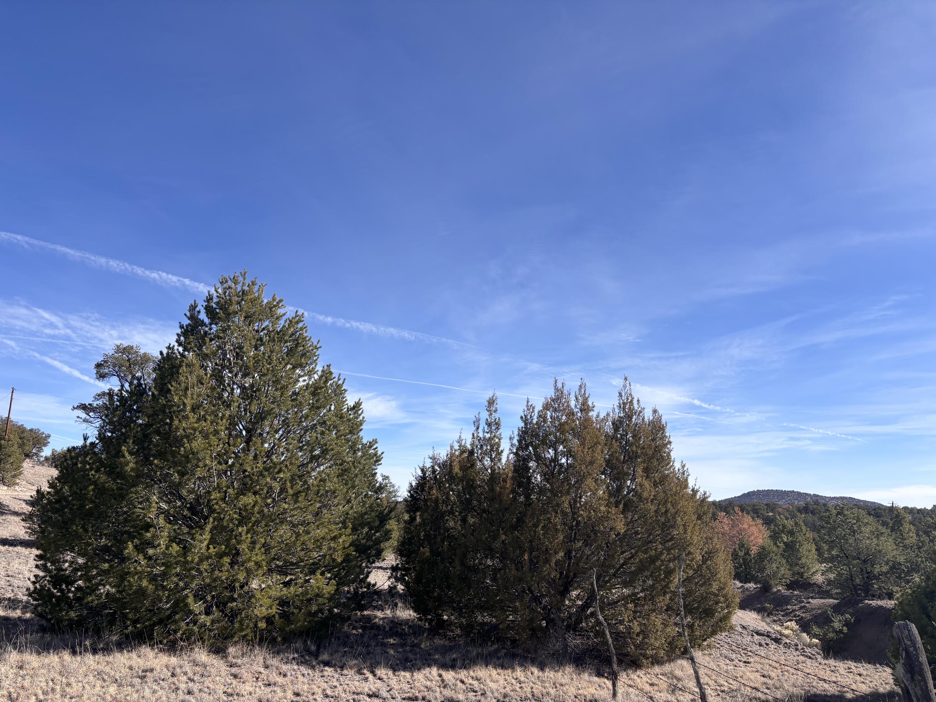 Photo 6 —  Lot 17 Horse Peek Ranches