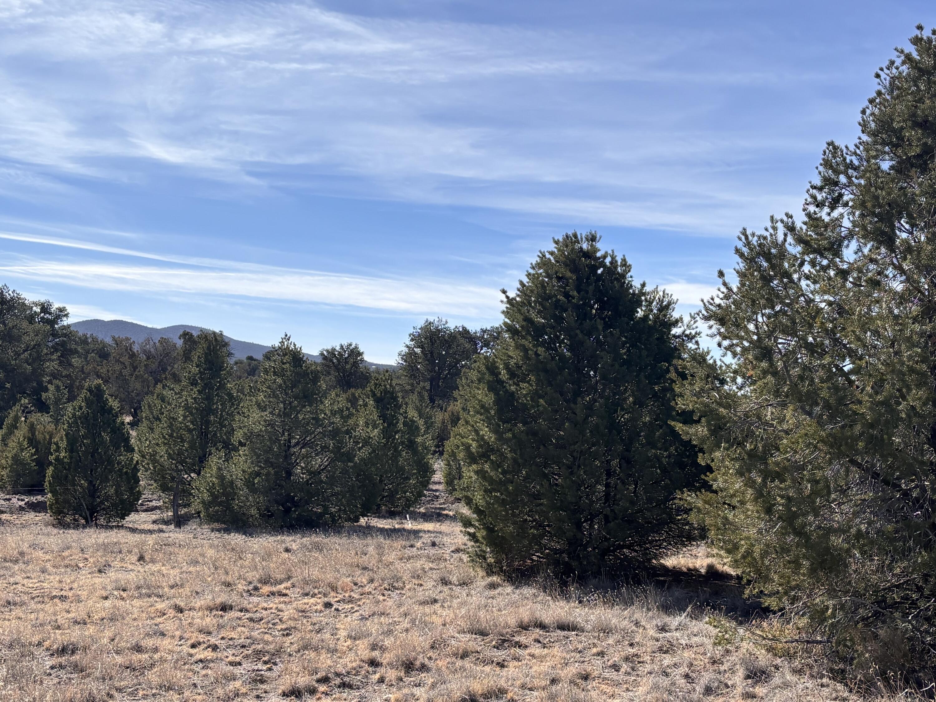 Photo 7 —  Lot 17 Horse Peek Ranches