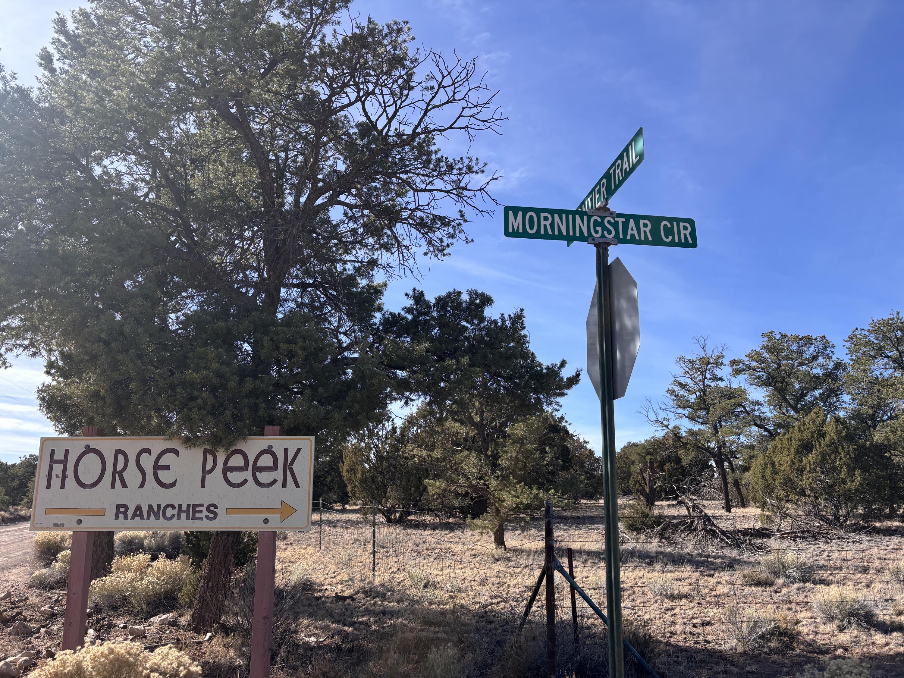 Photo 8 —  Lot 17 Horse Peek Ranches