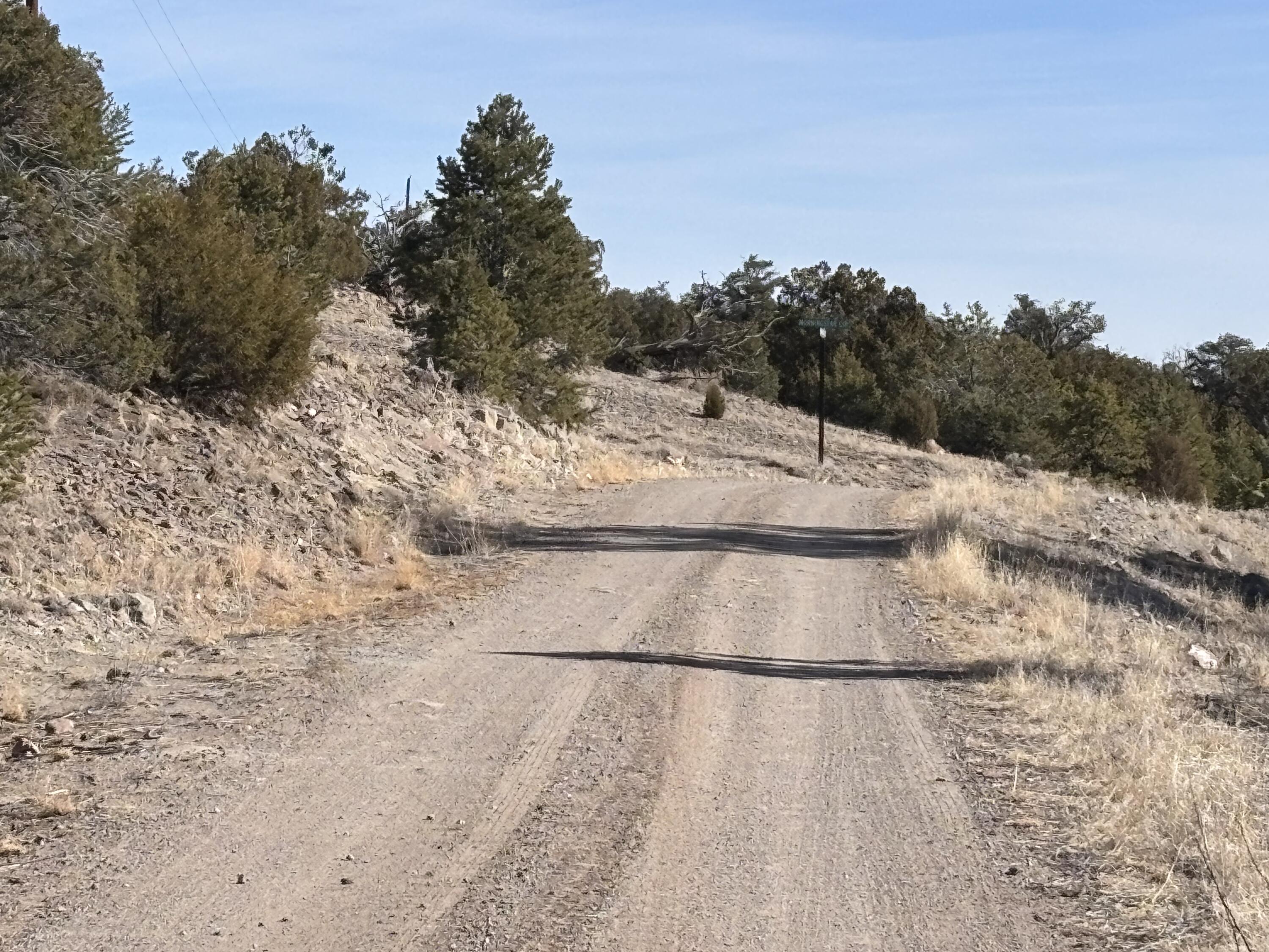 Photo 10 —  Lot 17 Horse Peek Ranches