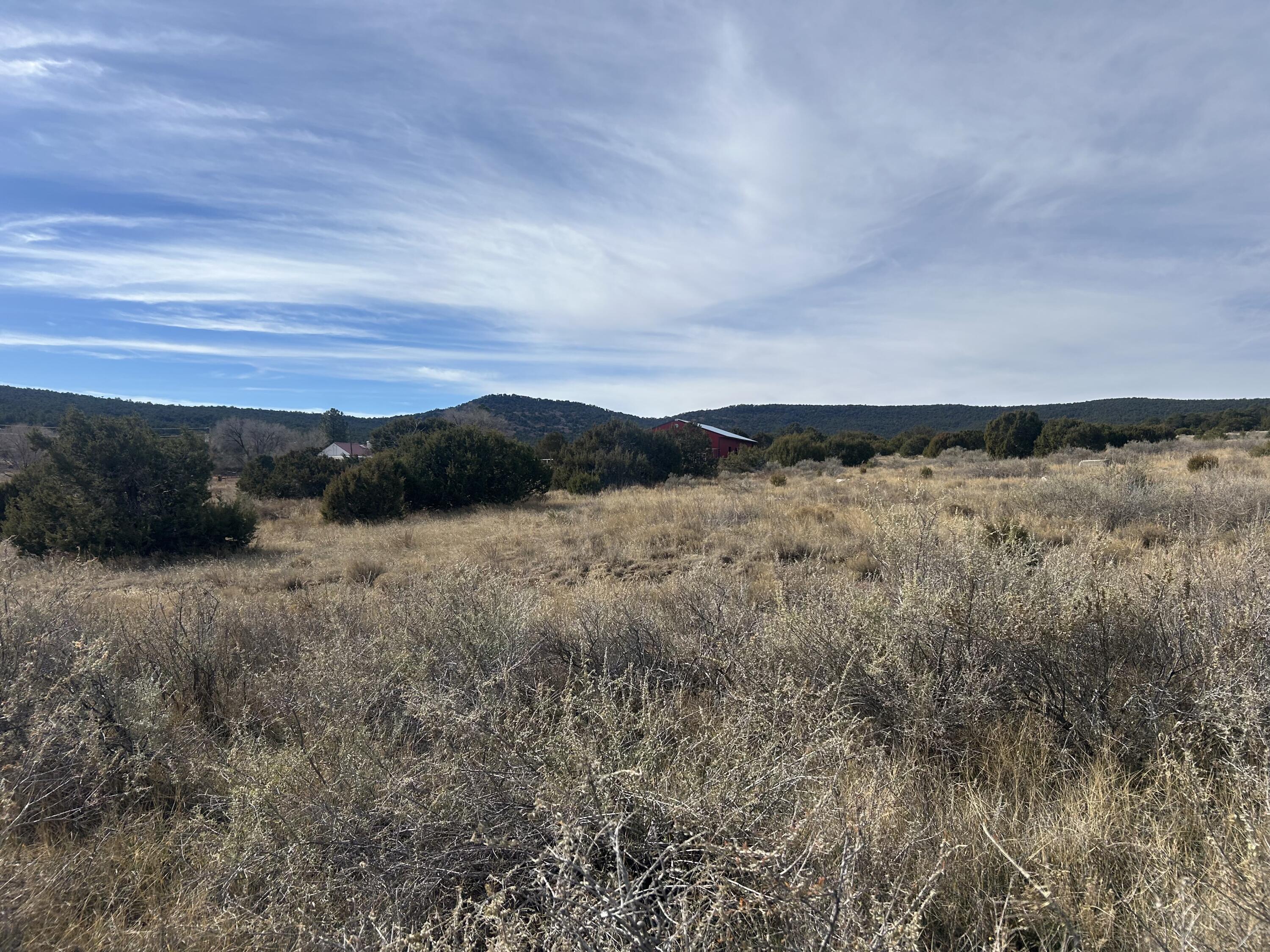 Photo 14 — 108 Brannan Rd Road