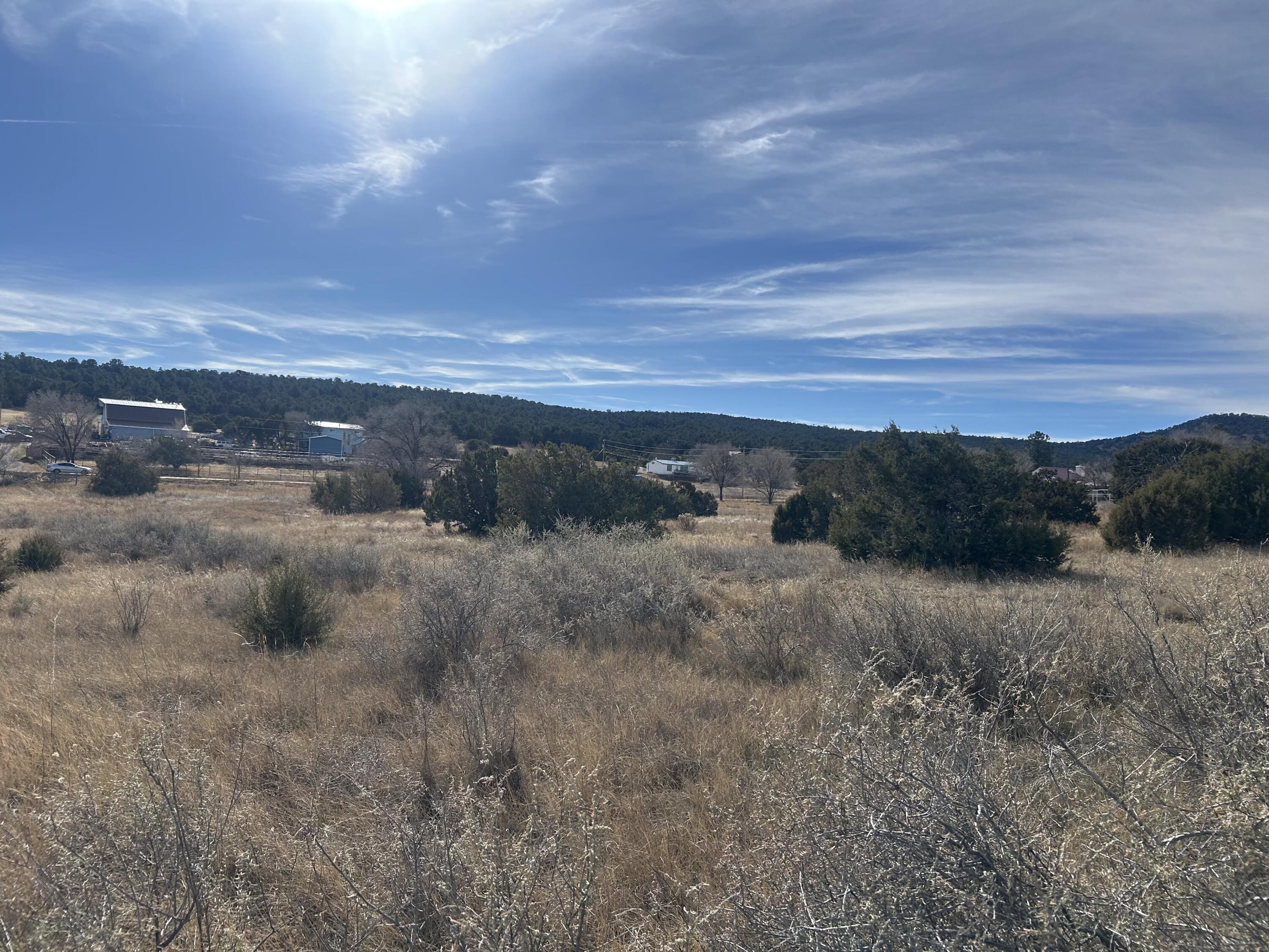 Photo 2 — 108 Brannan Rd Road