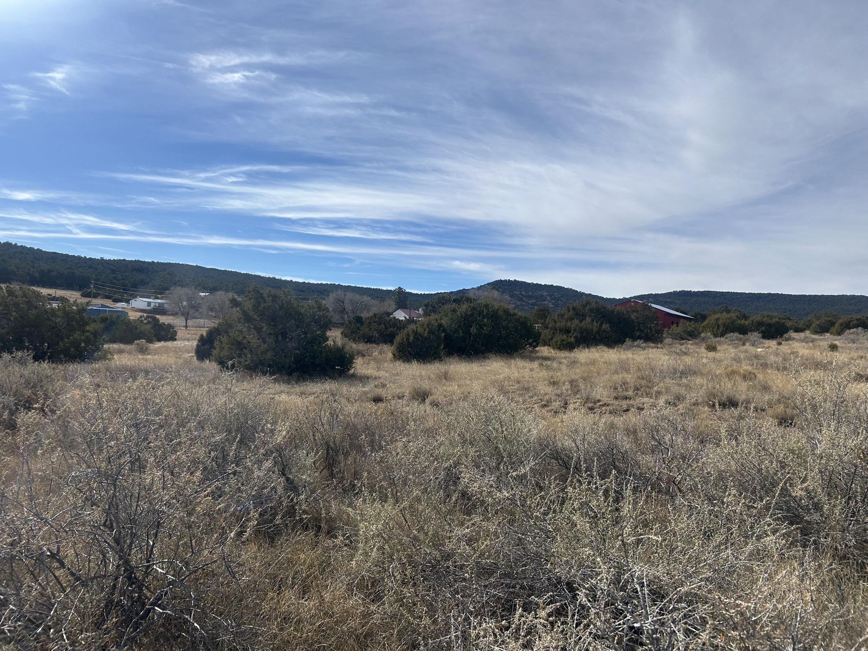 Photo 3 — 108 Brannan Rd Road