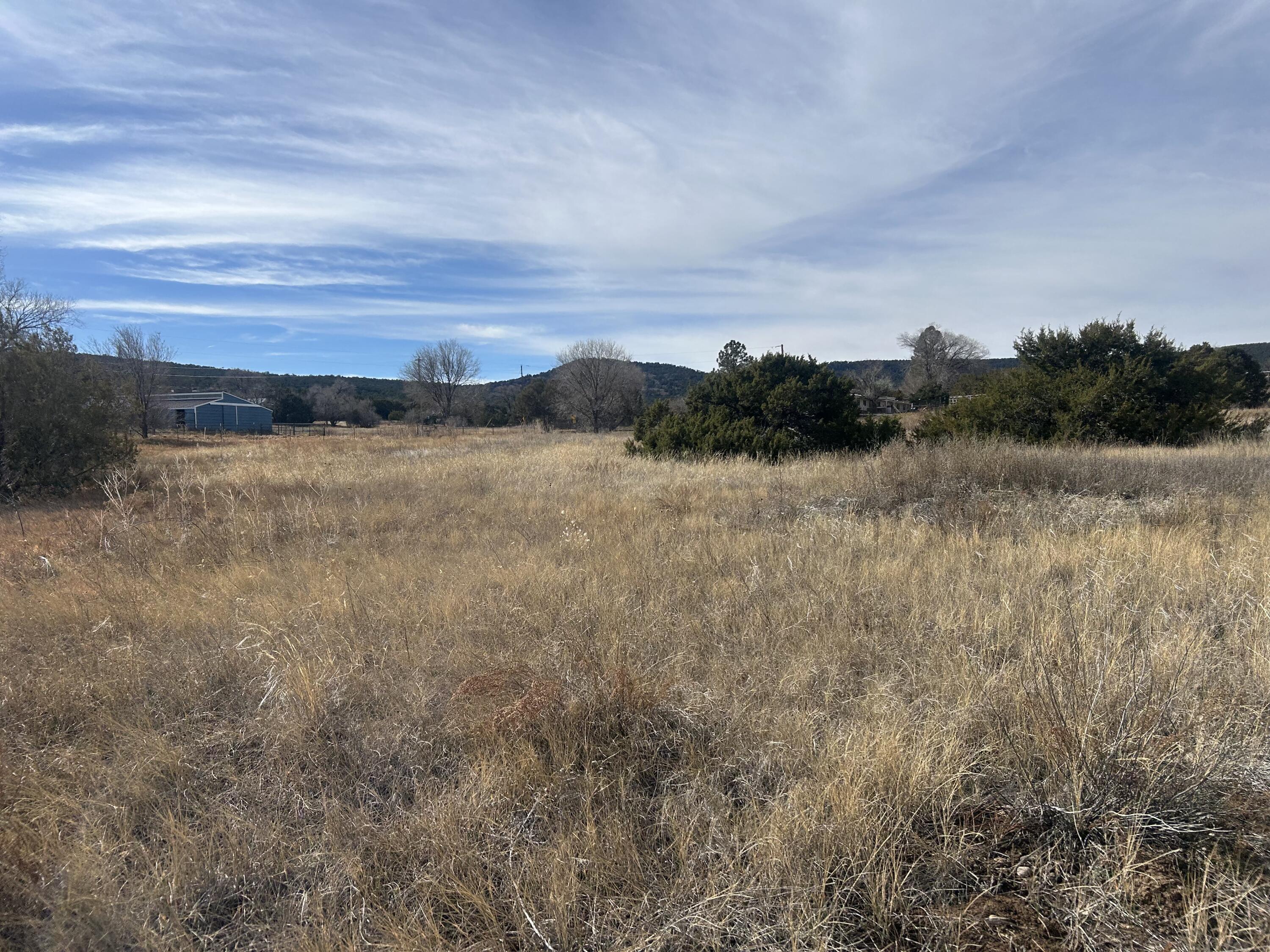 Photo 6 — 108 Brannan Rd Road