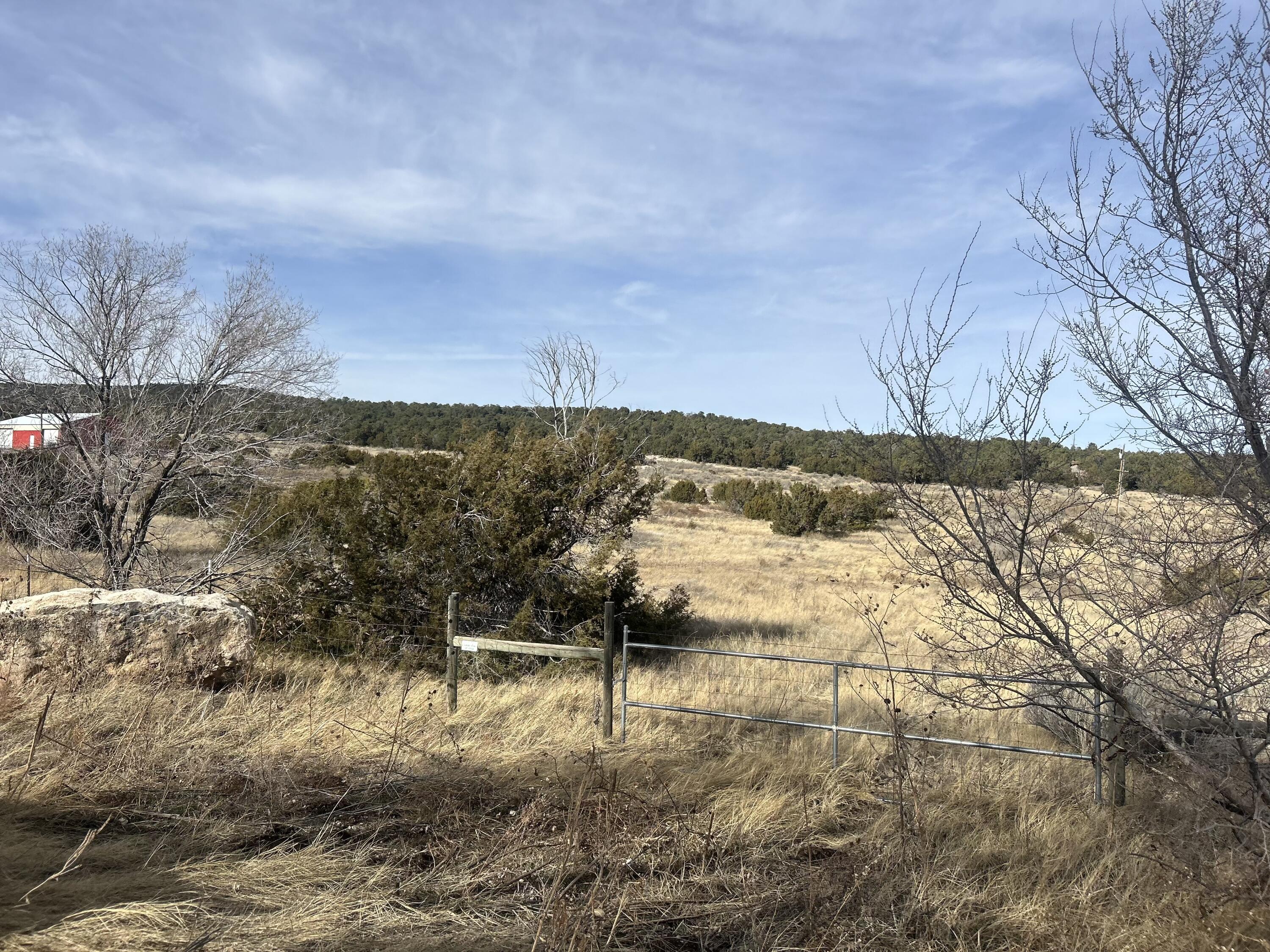 Photo 8 — 108 Brannan Rd Road