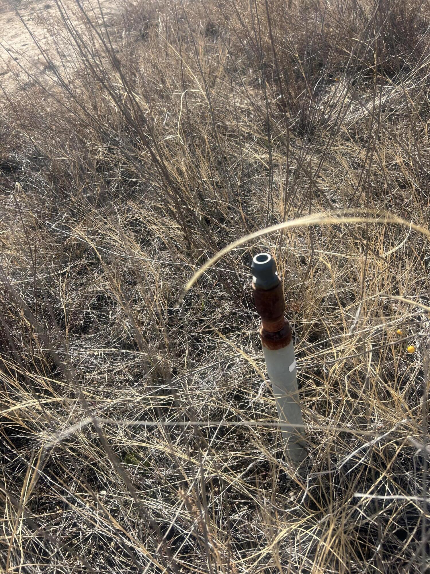 Photo 9 — 108 Brannan Rd Road
